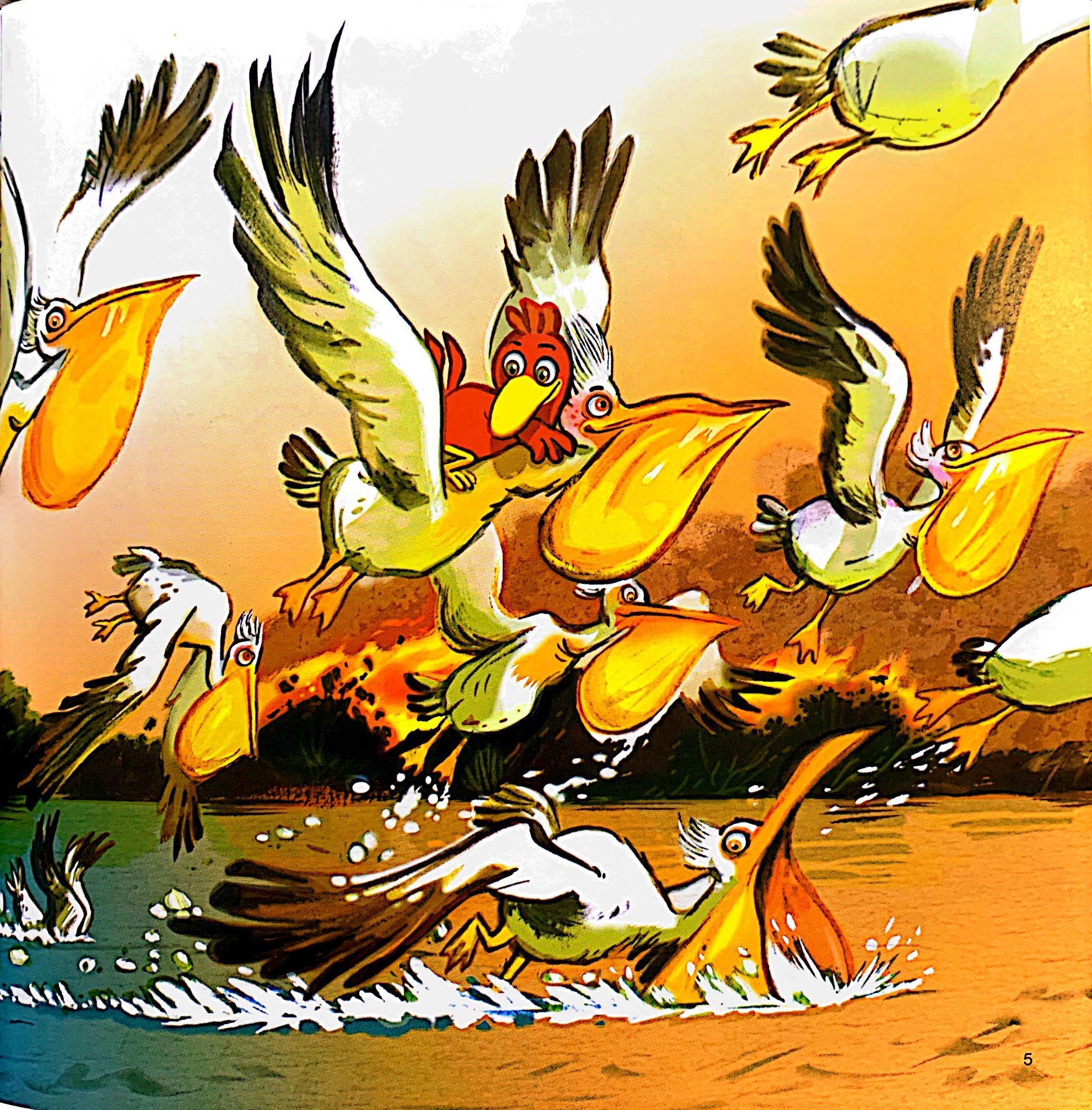 lại chuyện xóm gà - pitikok và con cá có ria