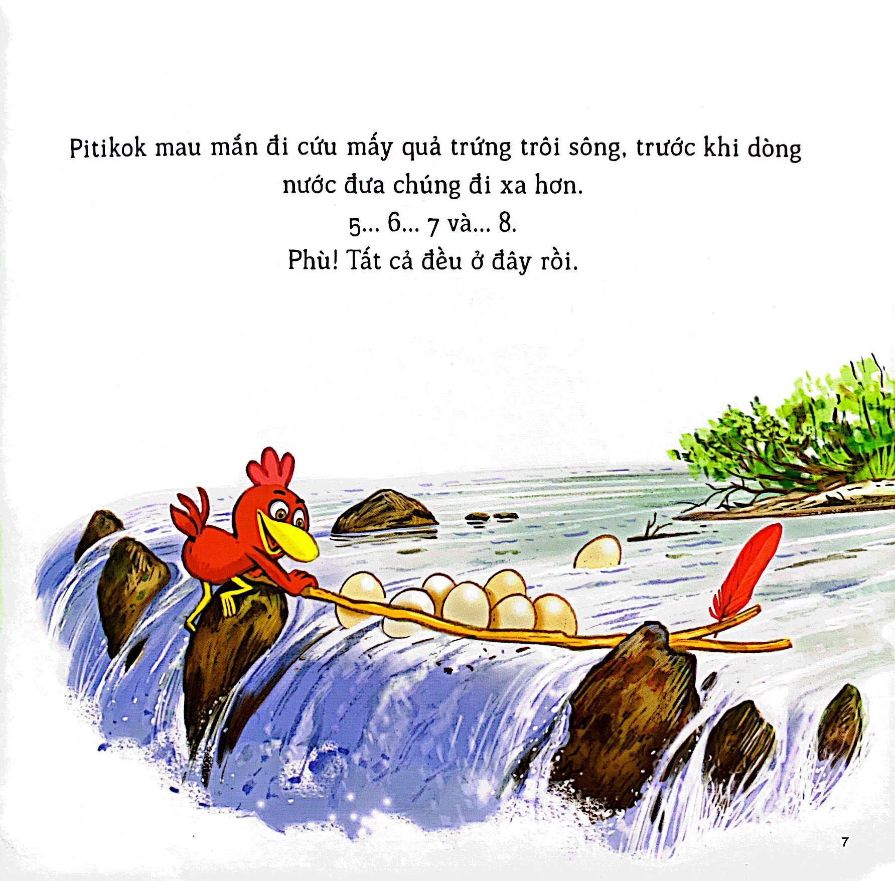 lại chuyện xóm gà - pitikok và những quả trứng kỳ cục