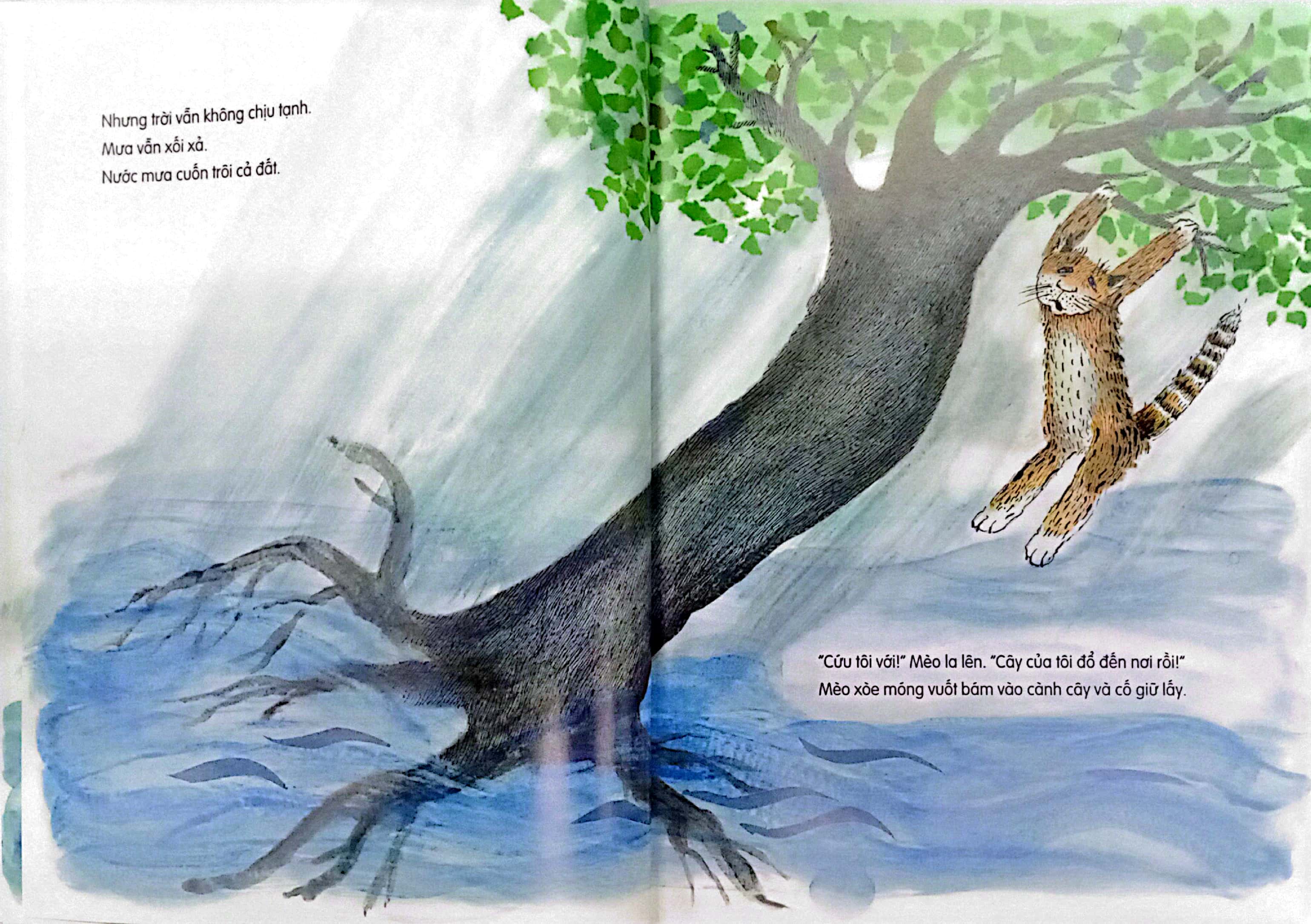 "lại đây nào!" - mèo bảo