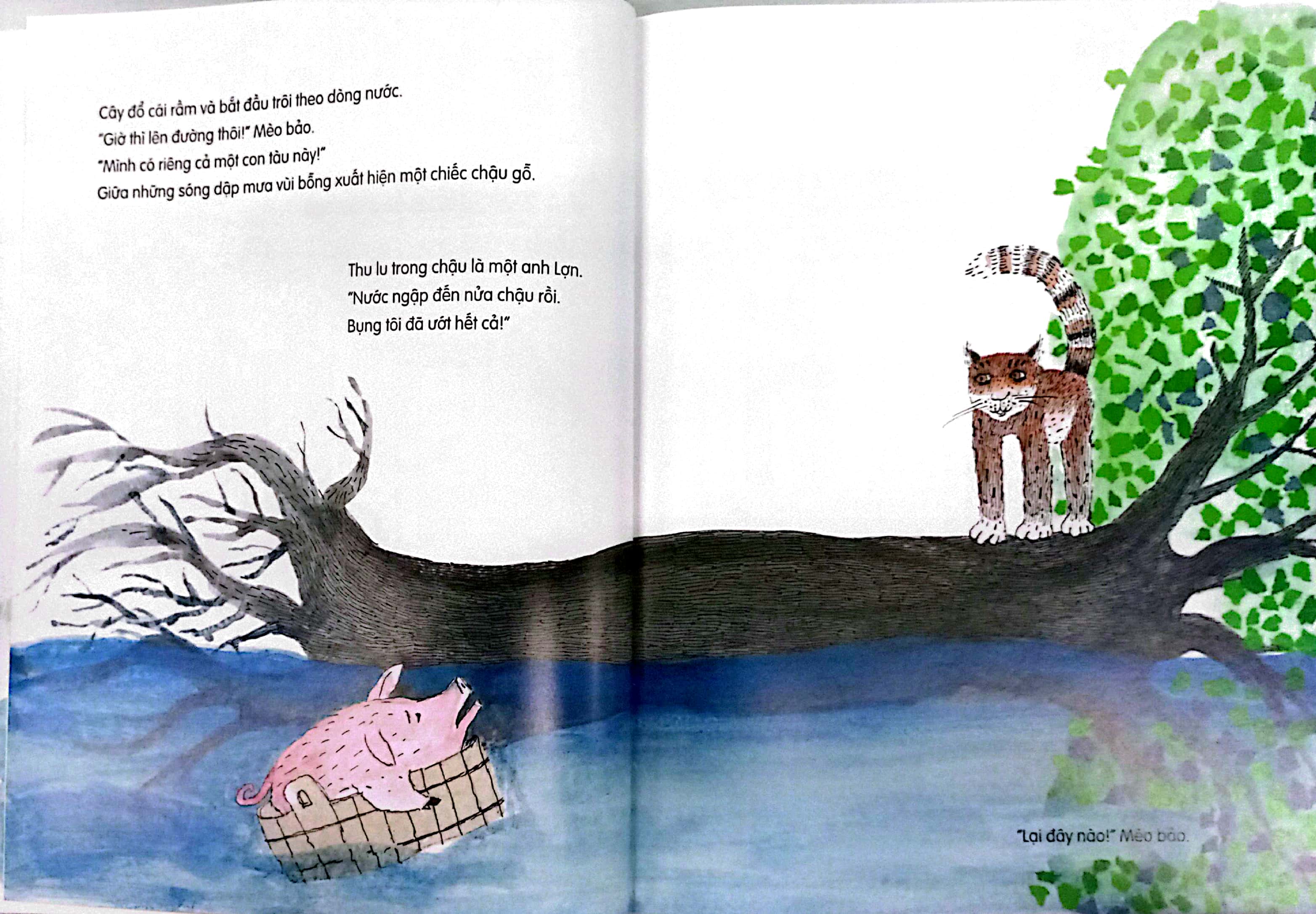 "lại đây nào!" - mèo bảo