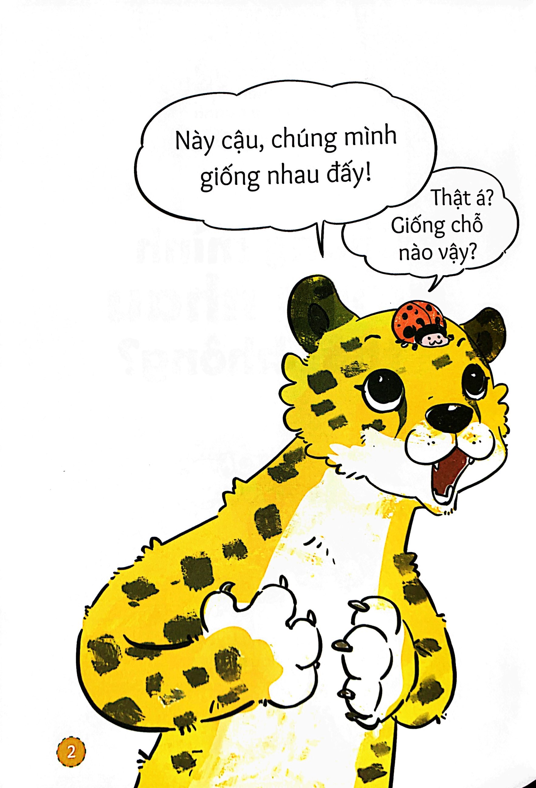 làm quen với xung quanh - chúng mình giống nhau thật không?