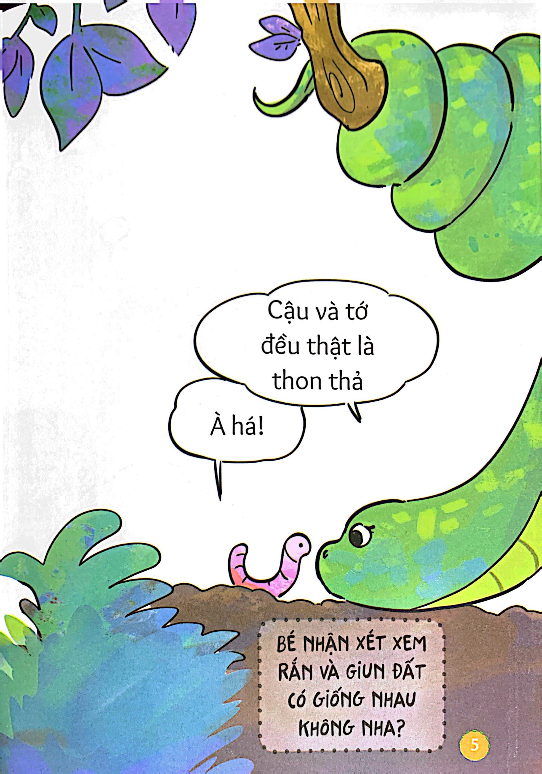 làm quen với xung quanh - chúng mình giống nhau thật không?