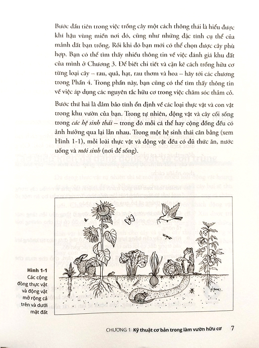 làm vườn hữu cơ for dummies