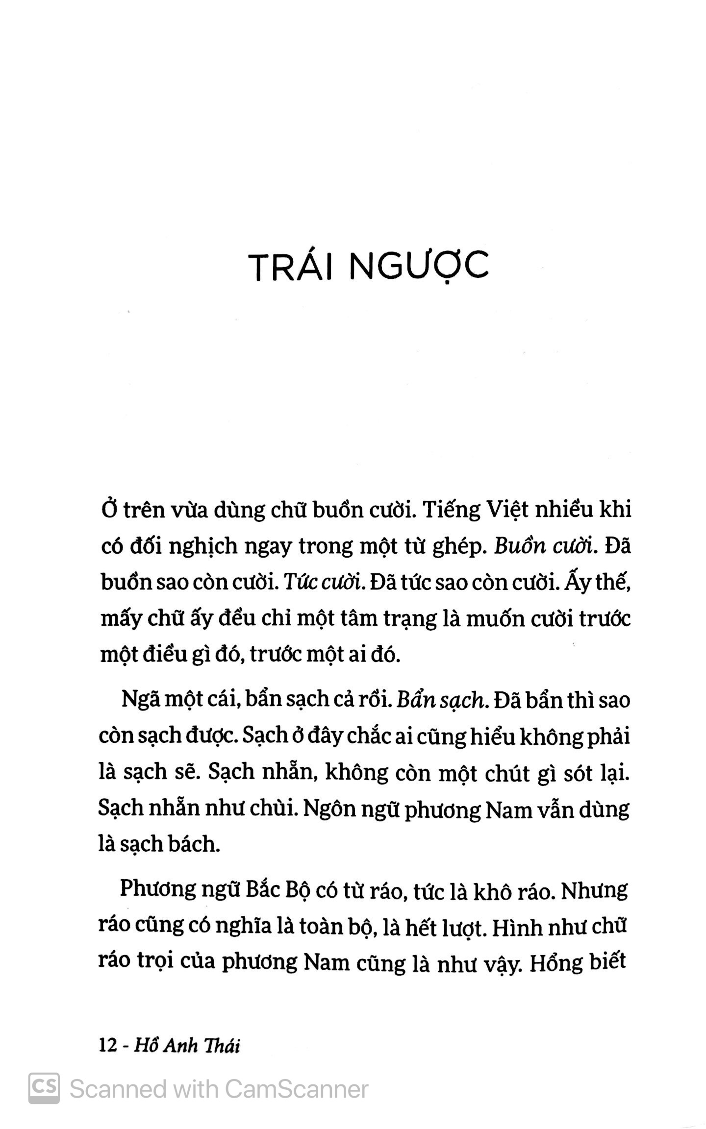 lang thang trong chữ (tái bản 2019)