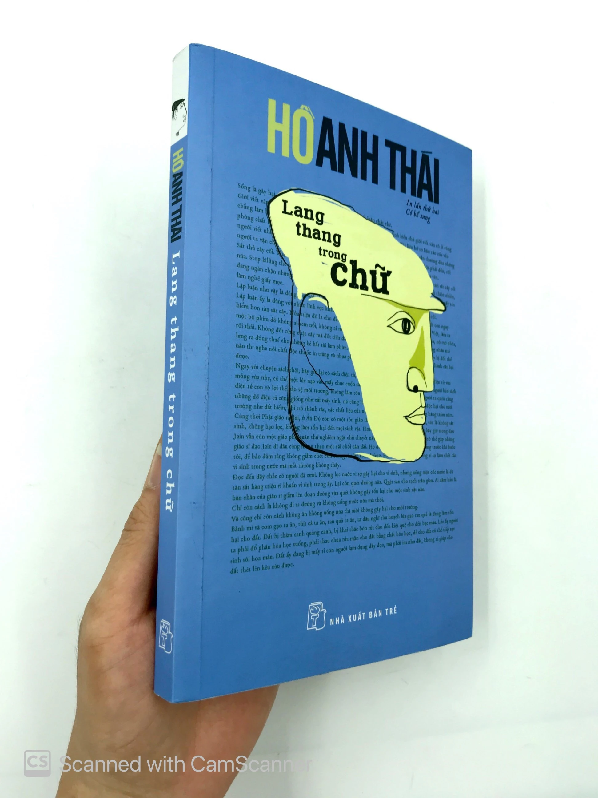 lang thang trong chữ (tái bản 2019)