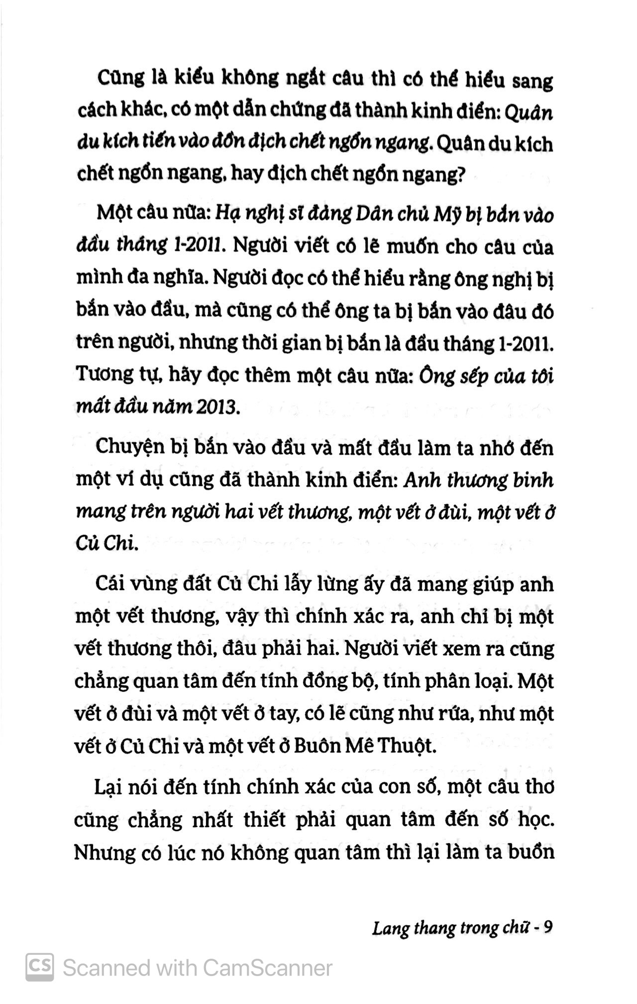 lang thang trong chữ (tái bản 2019)