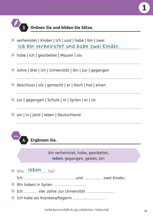 langenscheidt übungsbuch deutsch für den beruf: übungen für den berufseinstieg