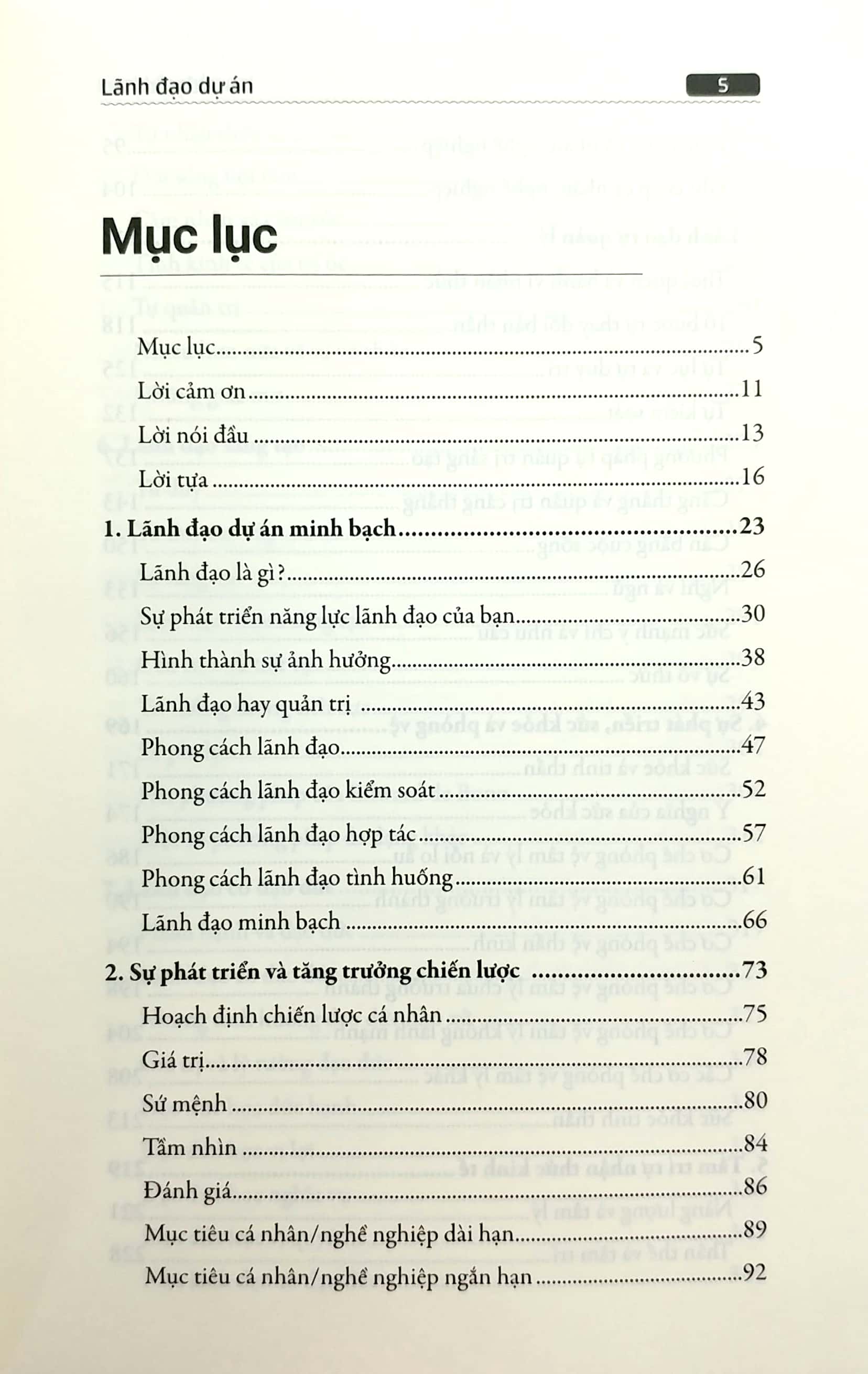 lãnh đạo dự án