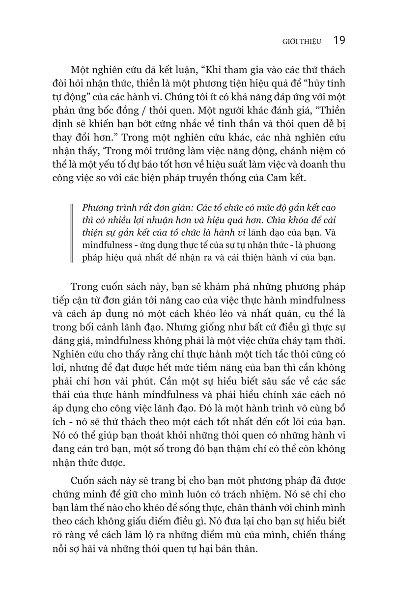 Lanh Dao Tinh Thuc - The Mindful Leader