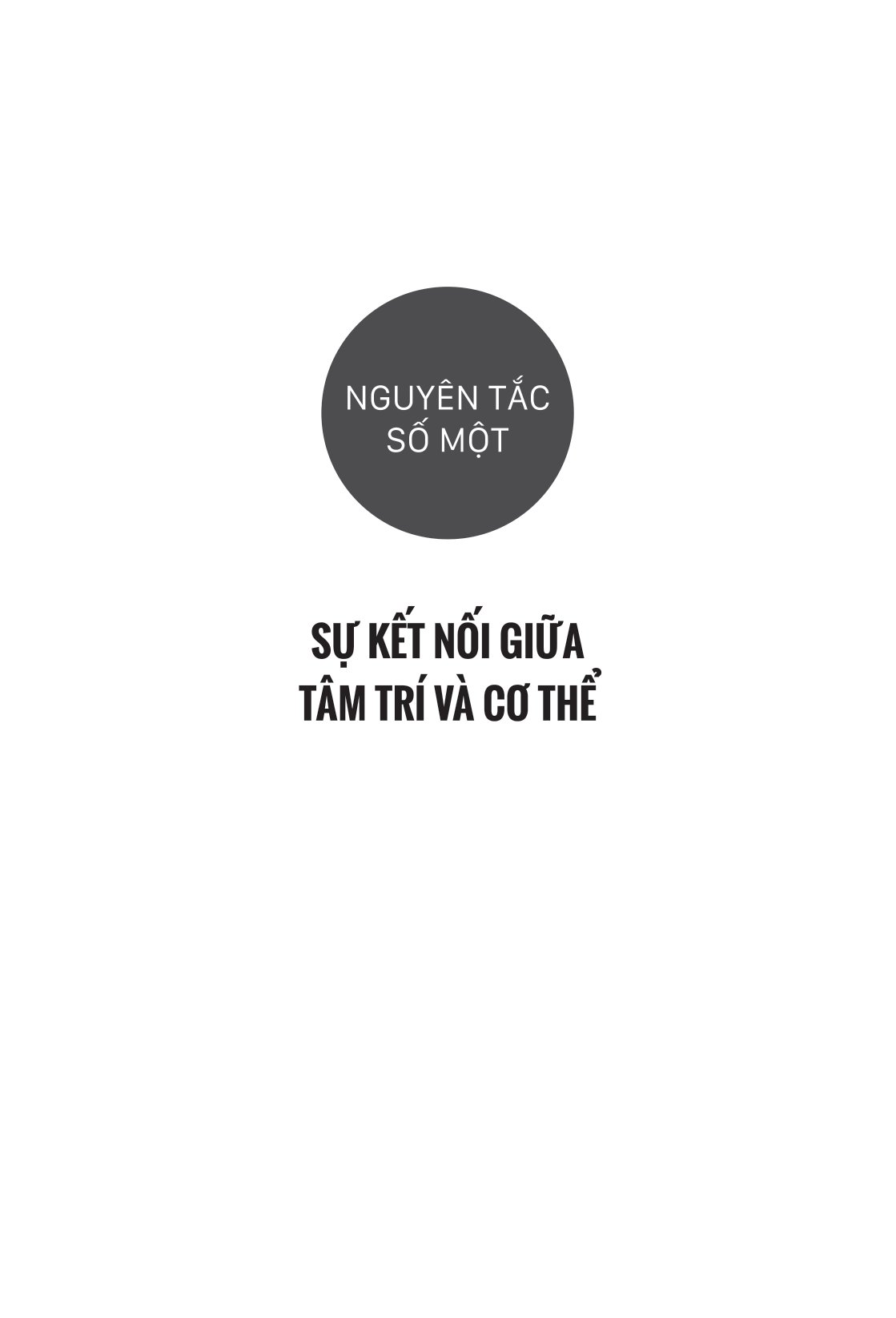 lập trình não bộ - làm chủ trí nhớ, sự tập trung, cảm xúc và giải phóng thiên tài bên trong bạn