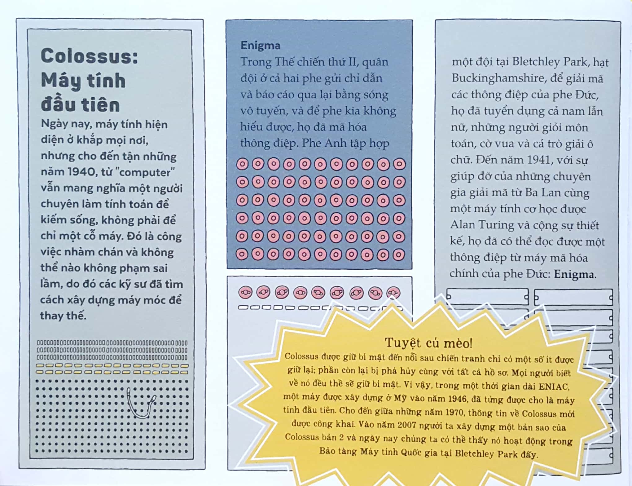 lập trình ngầu hết sảy