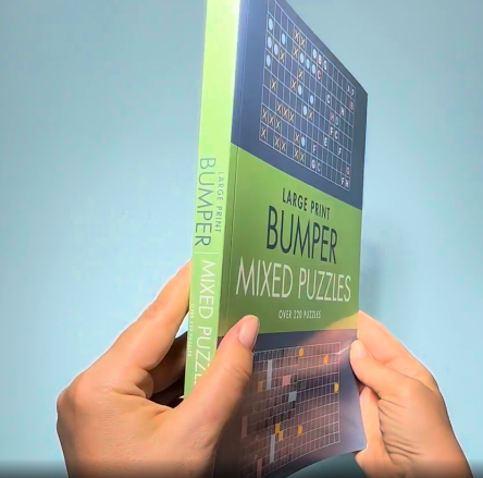 large print bumper puzzle book - mixed puzzles