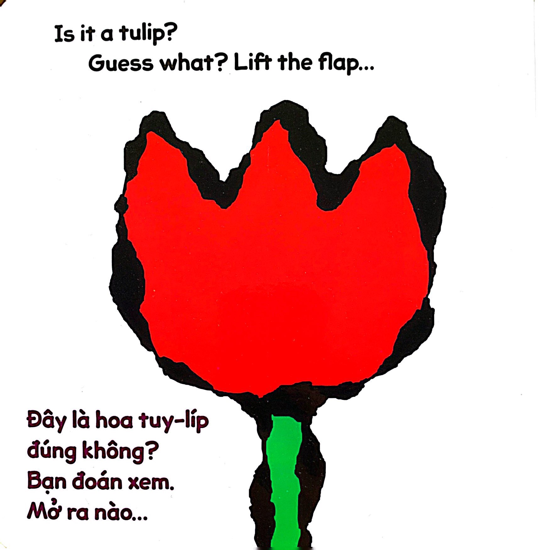 lật giở song ngữ - hoa gì thế - bìa cứng