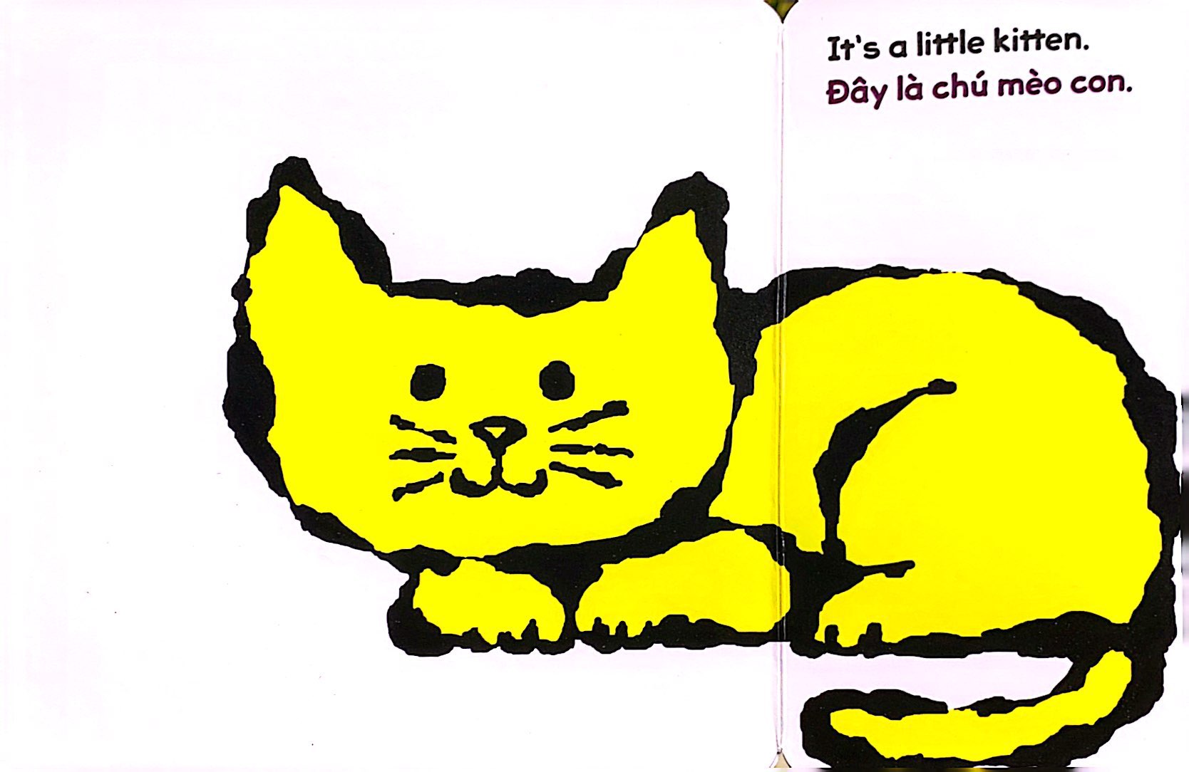 lật giở song ngữ - hoa gì thế - bìa cứng