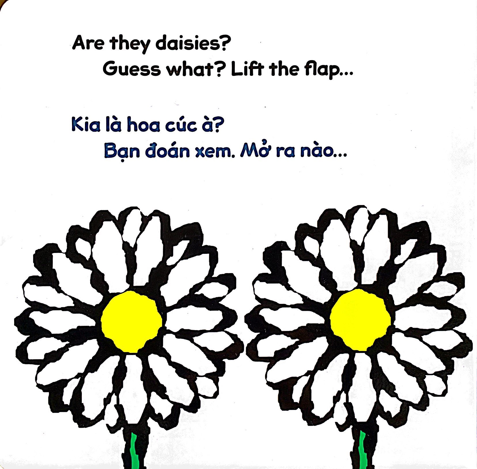 lật giở song ngữ - hoa gì thế - bìa cứng