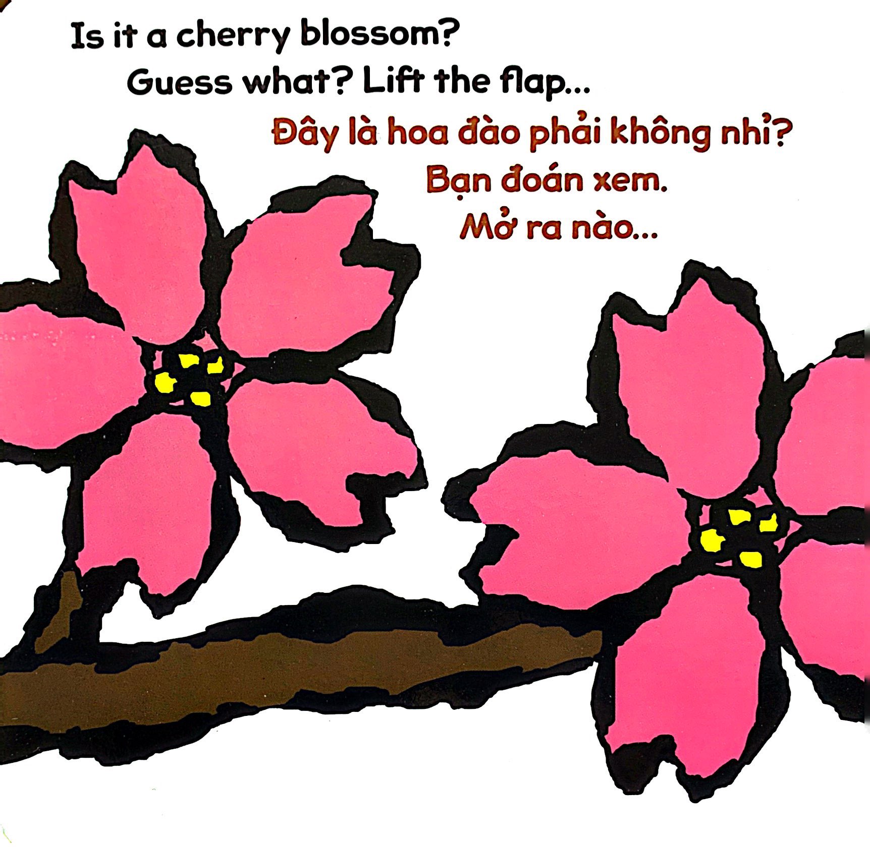 lật giở song ngữ - hoa gì thế - bìa cứng