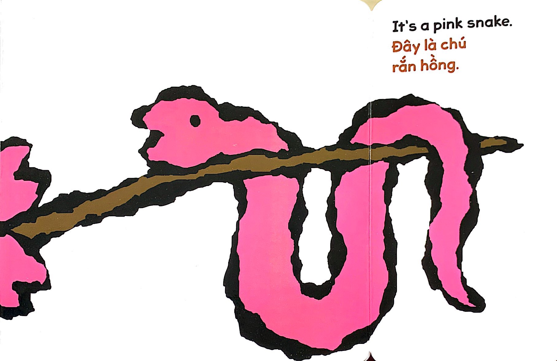 lật giở song ngữ - hoa gì thế - bìa cứng