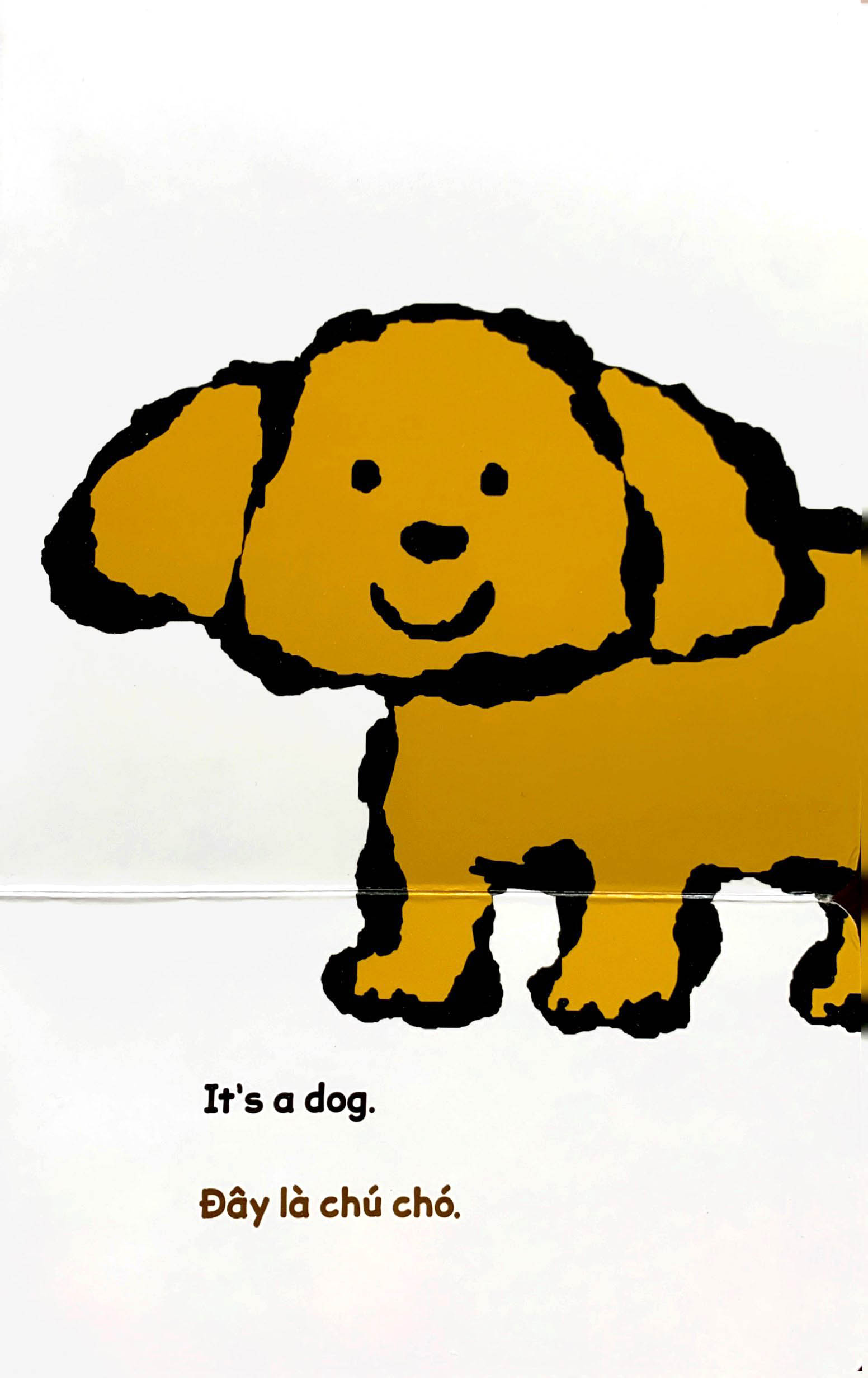 lật giở song ngữ - món gì vậy - bìa cứng