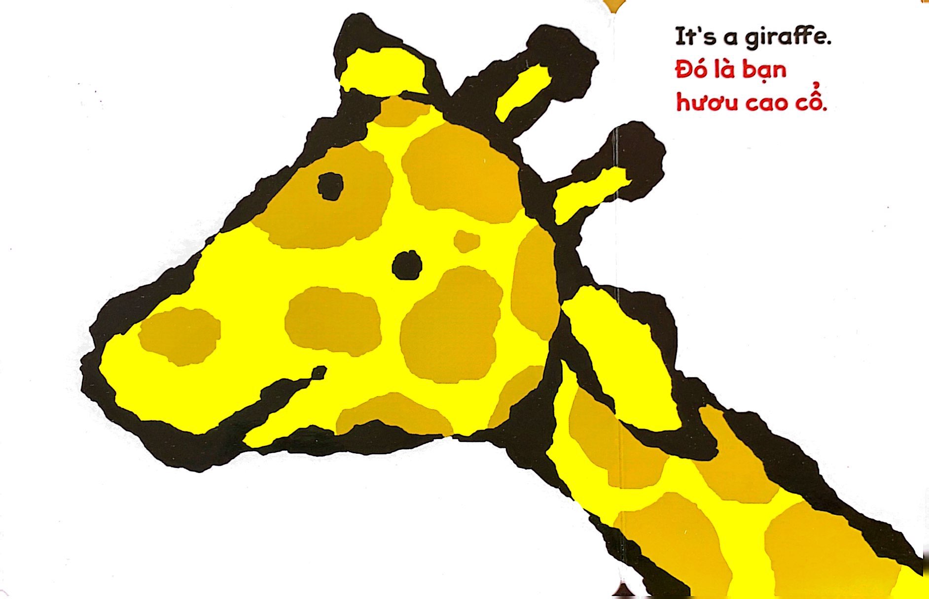 lật giở song ngữ - món gì vậy - bìa cứng