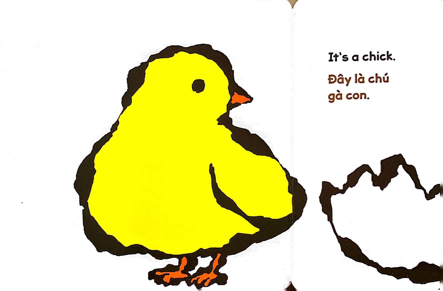 lật giở song ngữ - quả gì đây - bìa cứng