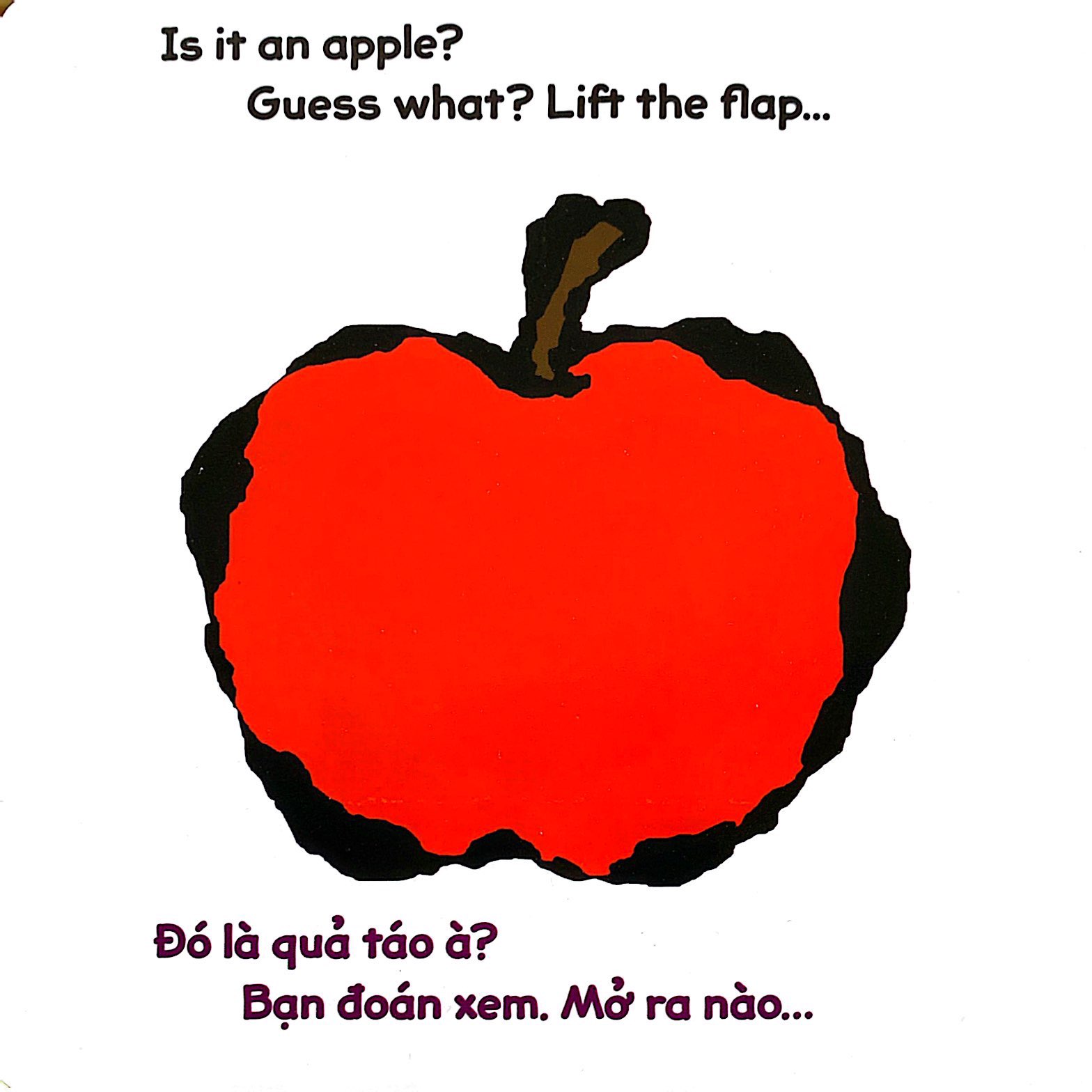lật giở song ngữ - quả gì đây - bìa cứng