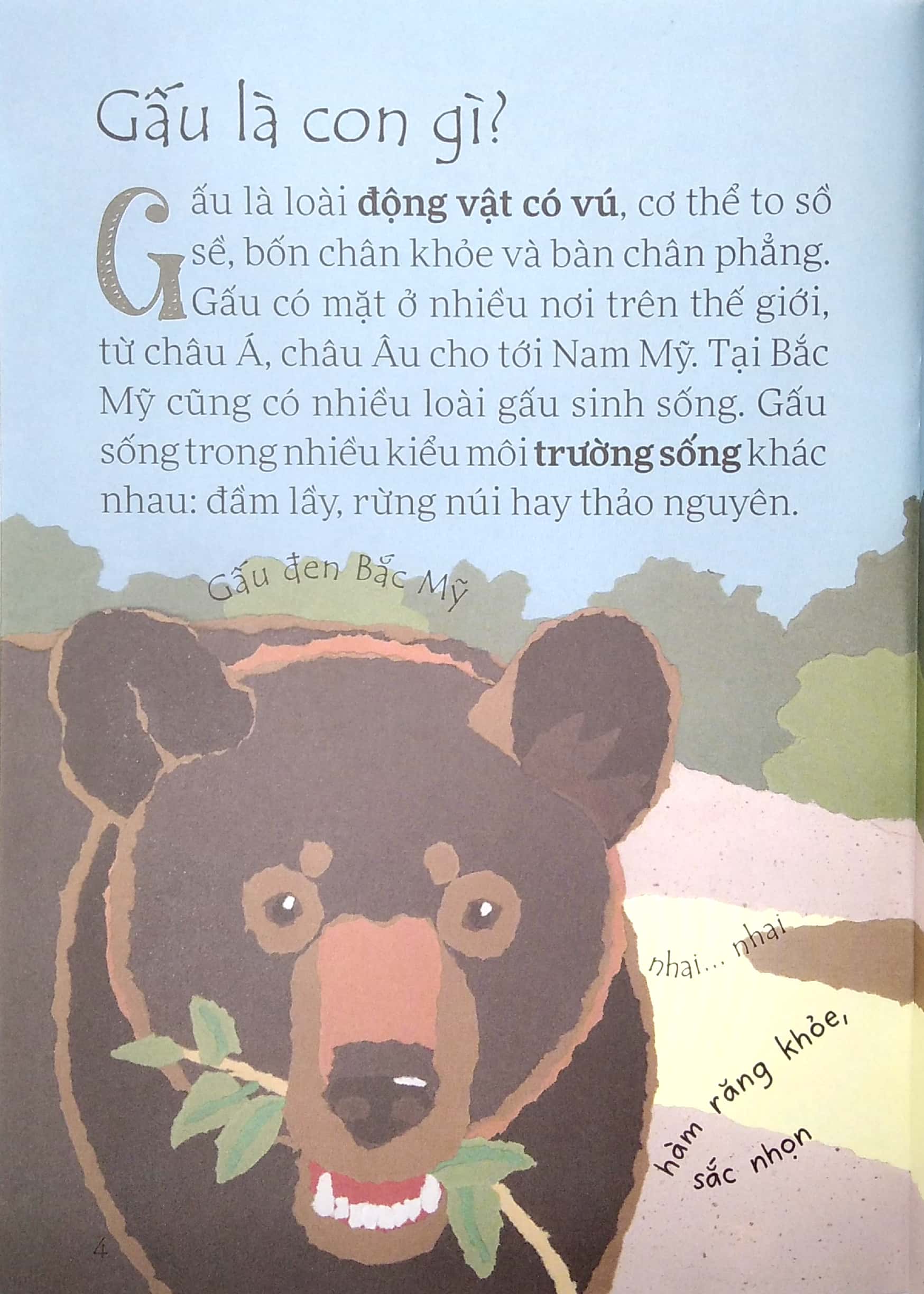 lâu đài khoa học của em - gấu đen có nguy hiểm không?