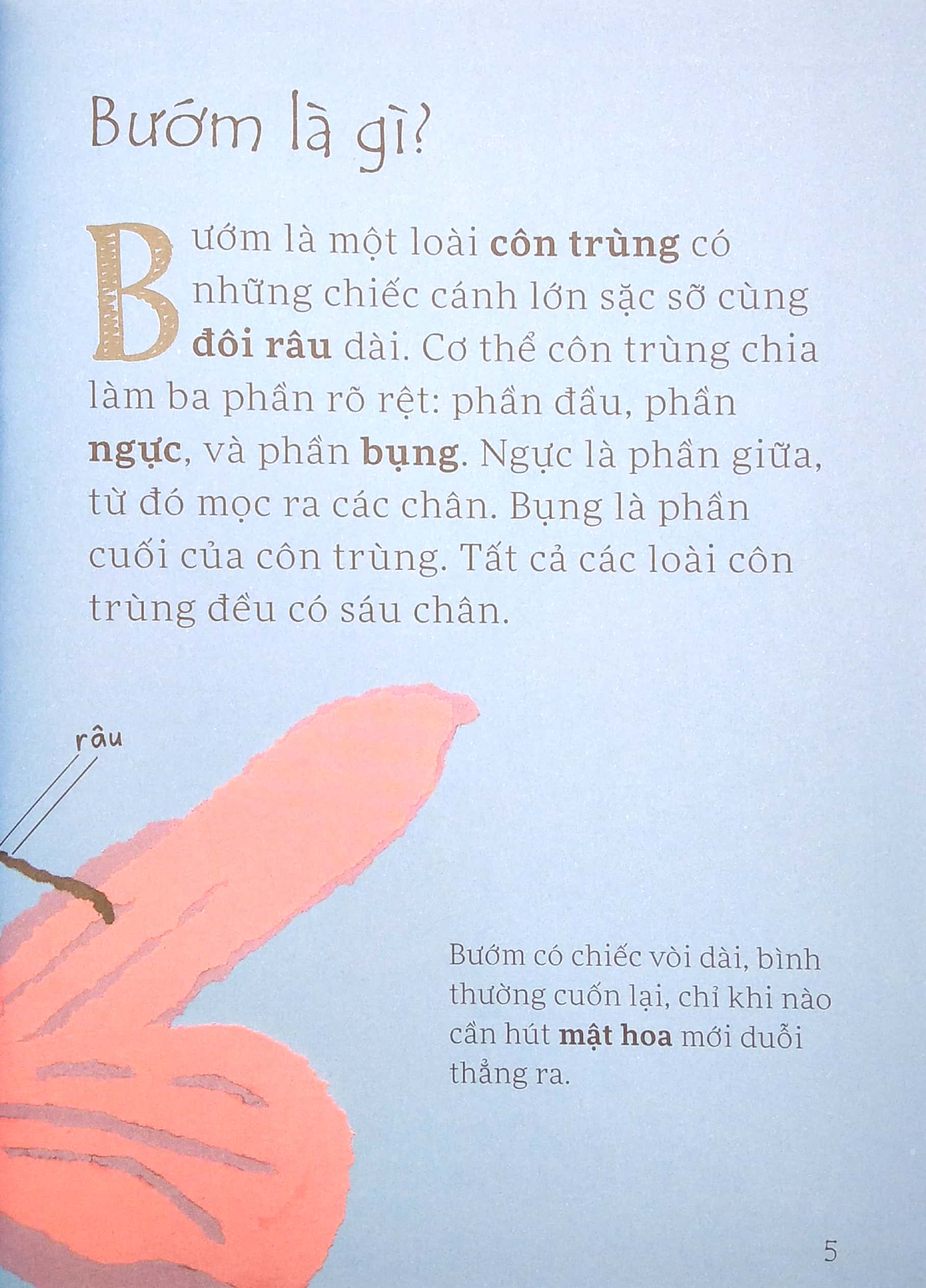 lâu đài khoa học của em - tại sao bướm vua lại di cư?