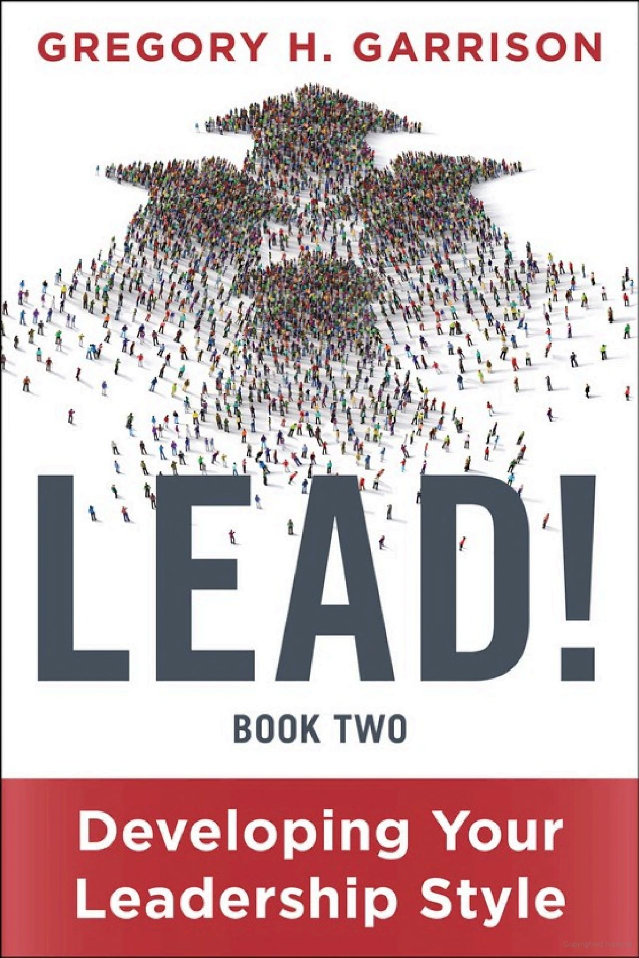 lead! book 2 - developing your leadership style