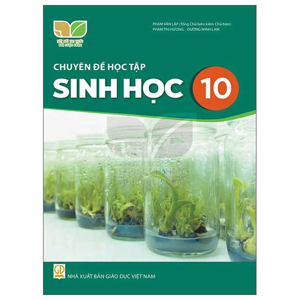 Lich Su 10 (Ket Noi) (Chuan)