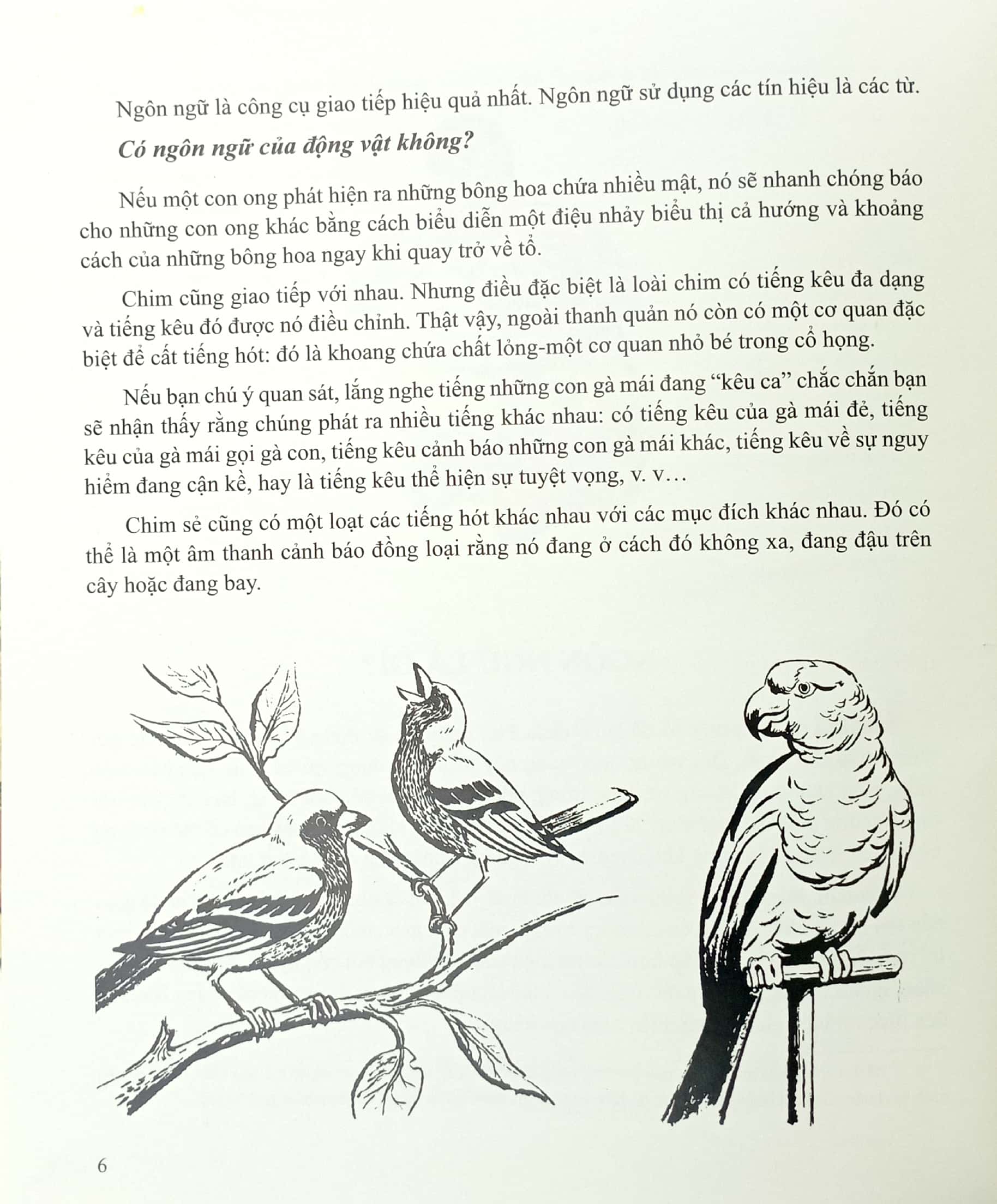 lịch sử hành trình và phát triển ngôn ngữ - bìa cứng