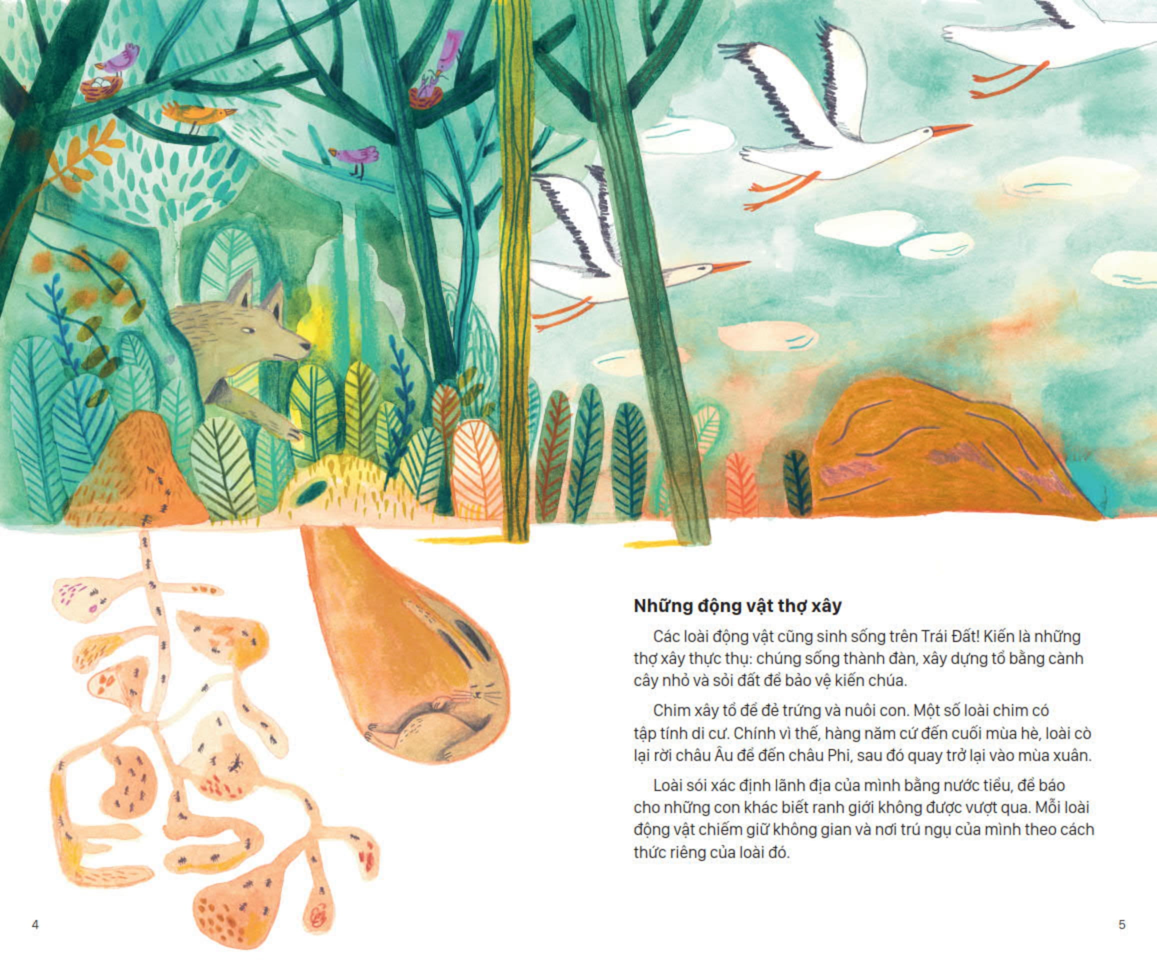 lịch sử sinh hoạt của loài người - cư trú