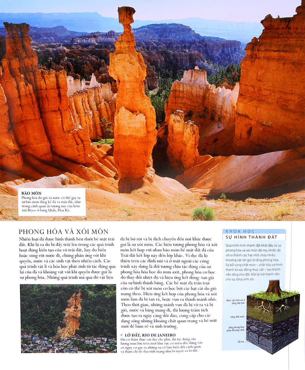 lịch sử tự nhiên