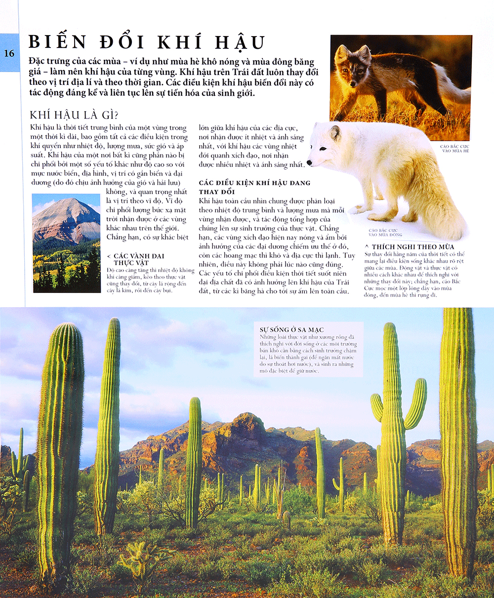 lịch sử tự nhiên