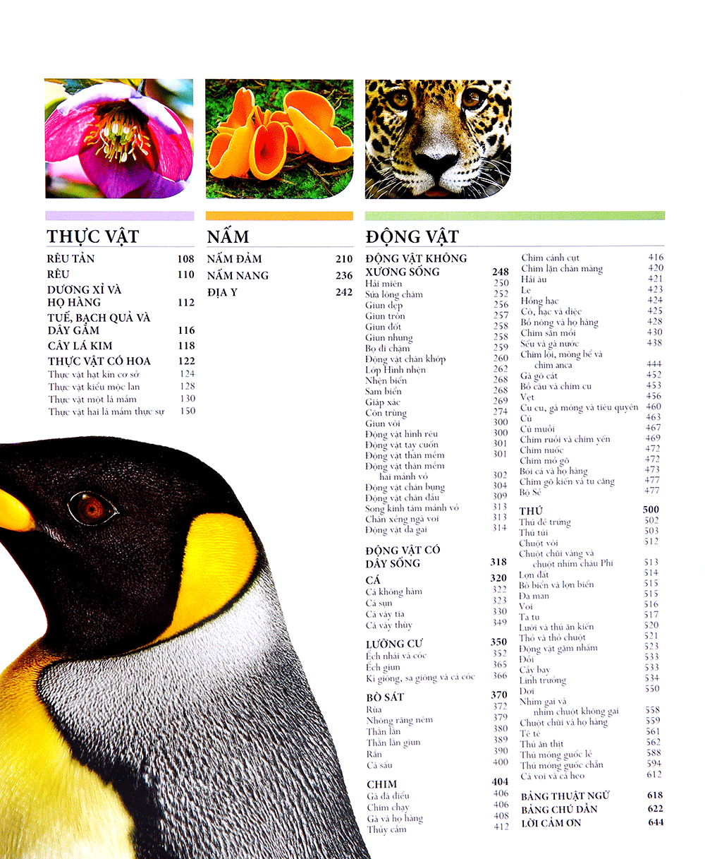 lịch sử tự nhiên