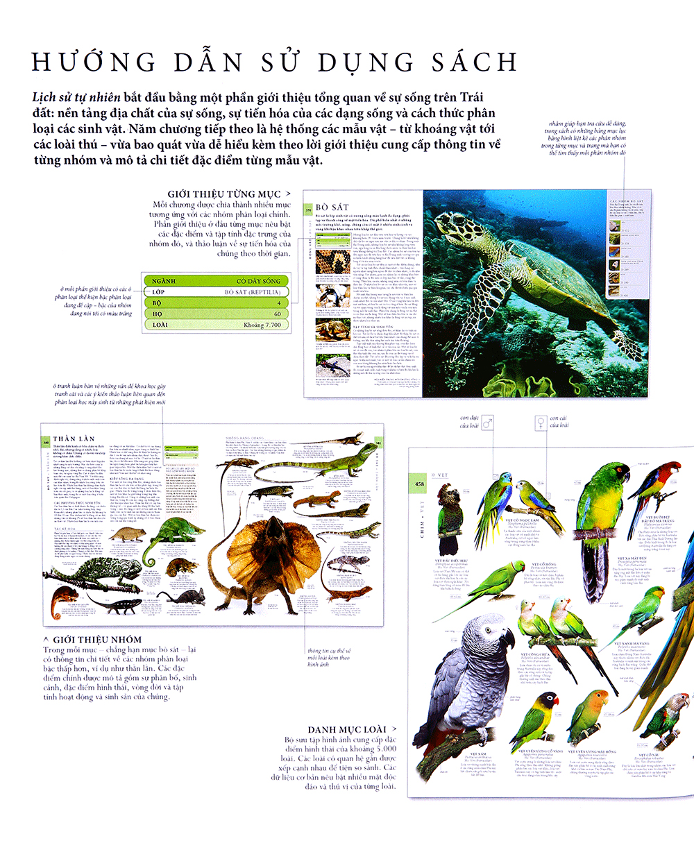lịch sử tự nhiên