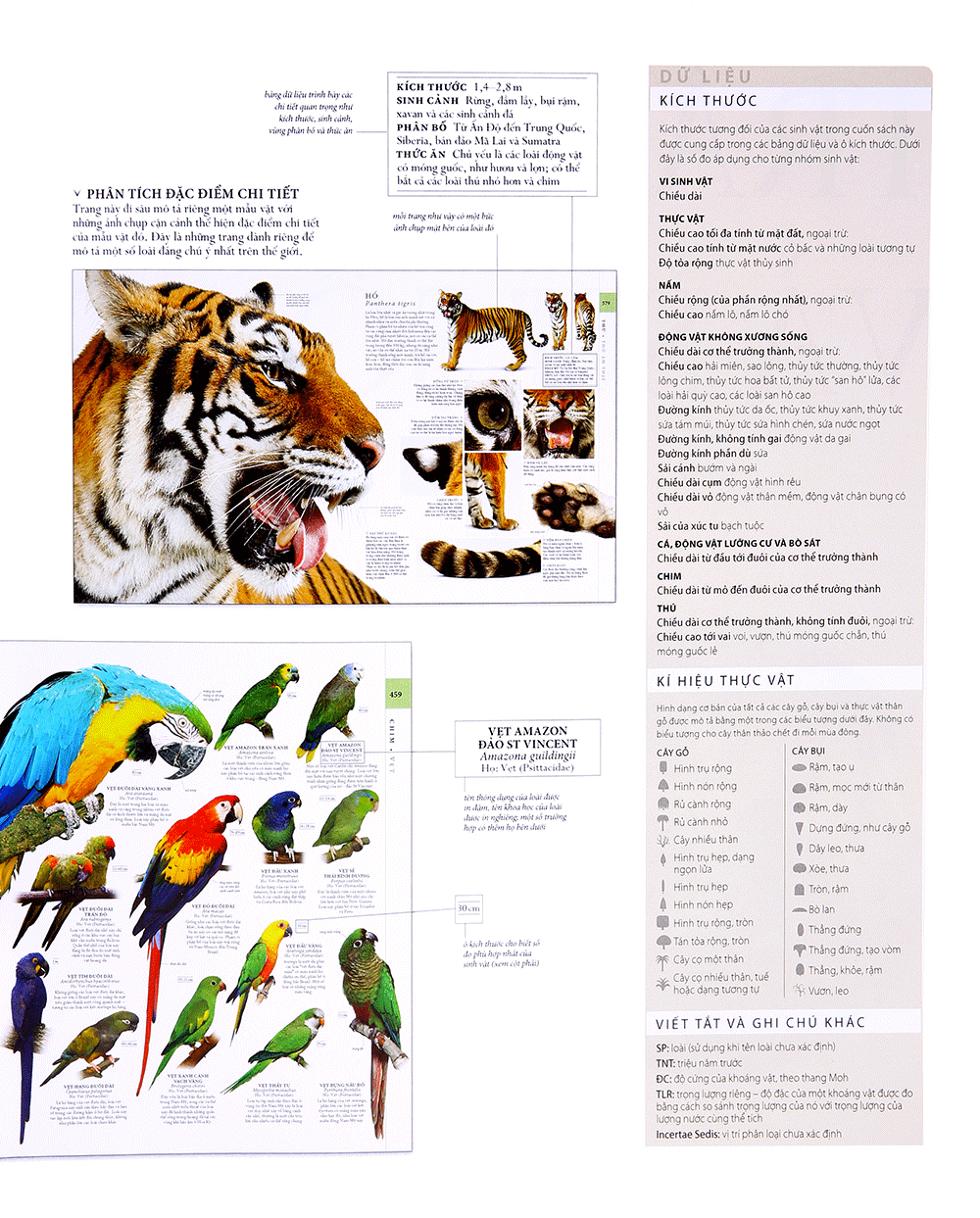 lịch sử tự nhiên