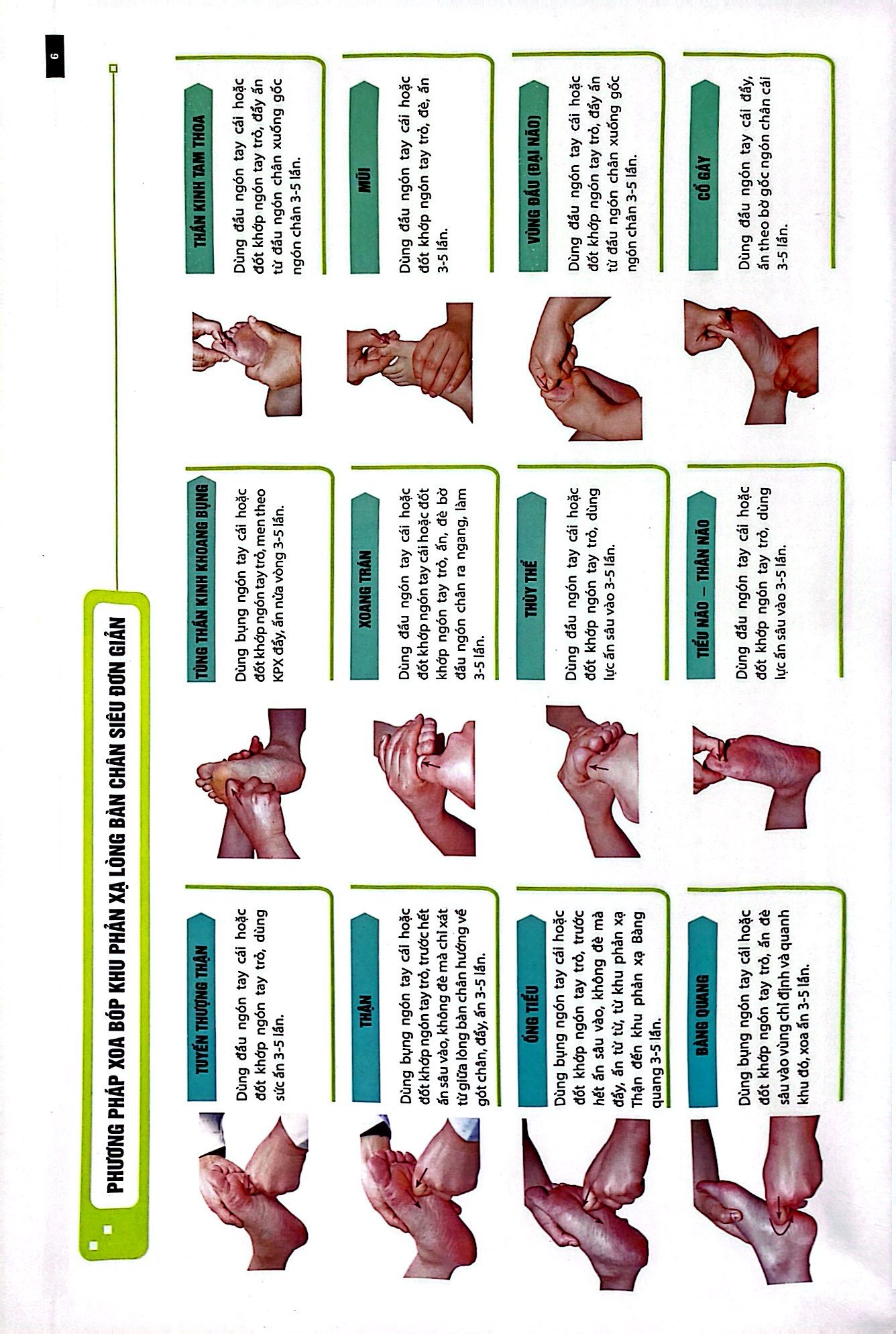 liệu pháp chữa bệnh toàn thân - khu phản xạ