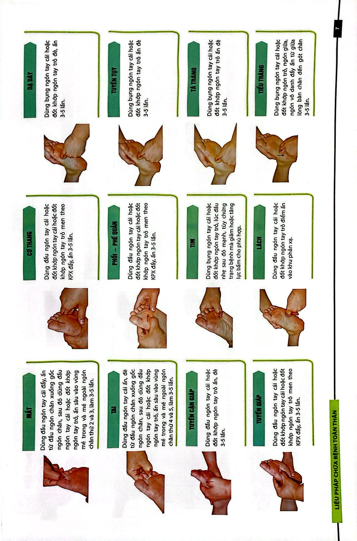 liệu pháp chữa bệnh toàn thân - khu phản xạ