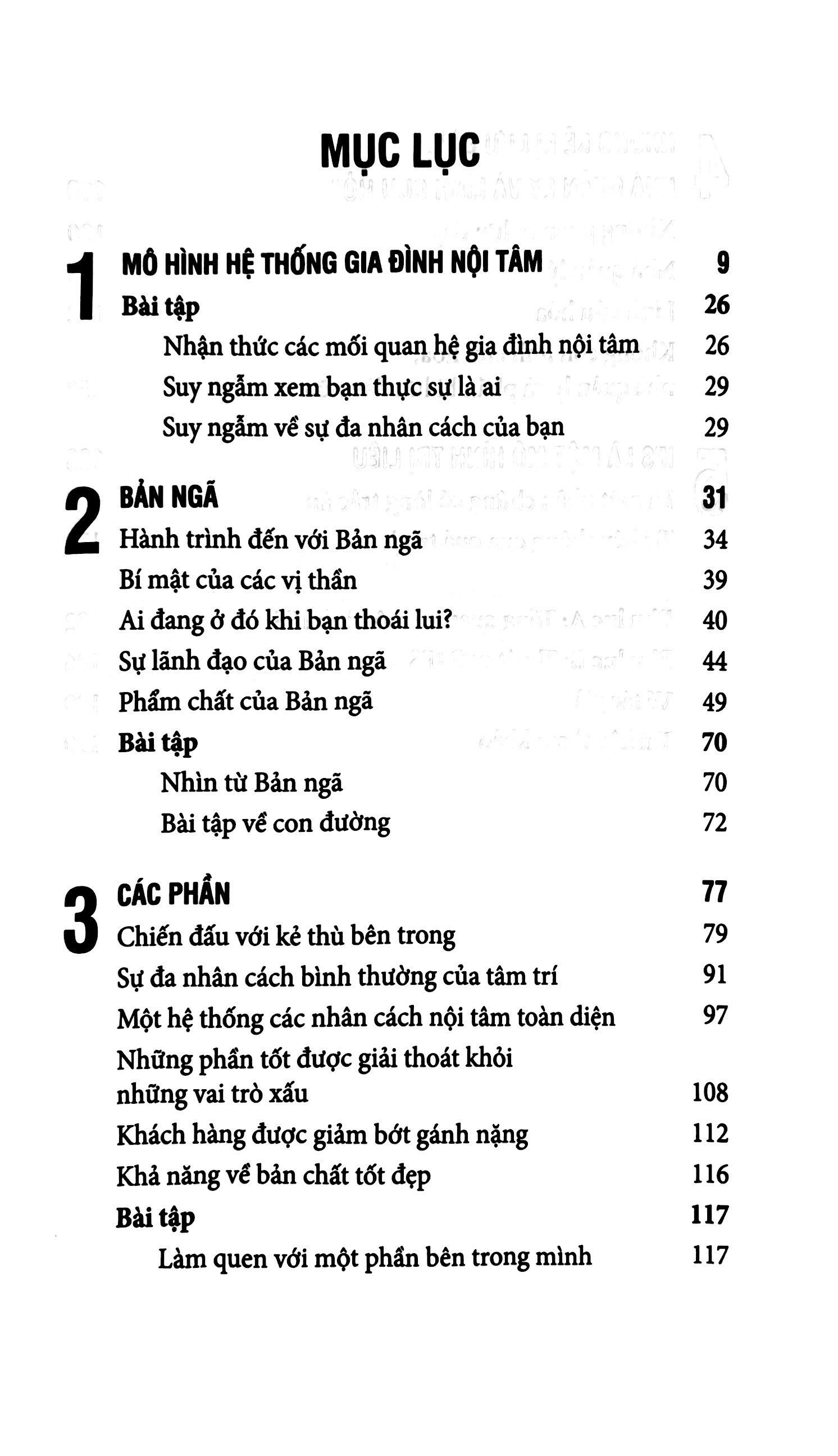 liệu pháp hệ thống gia đình nội tâm