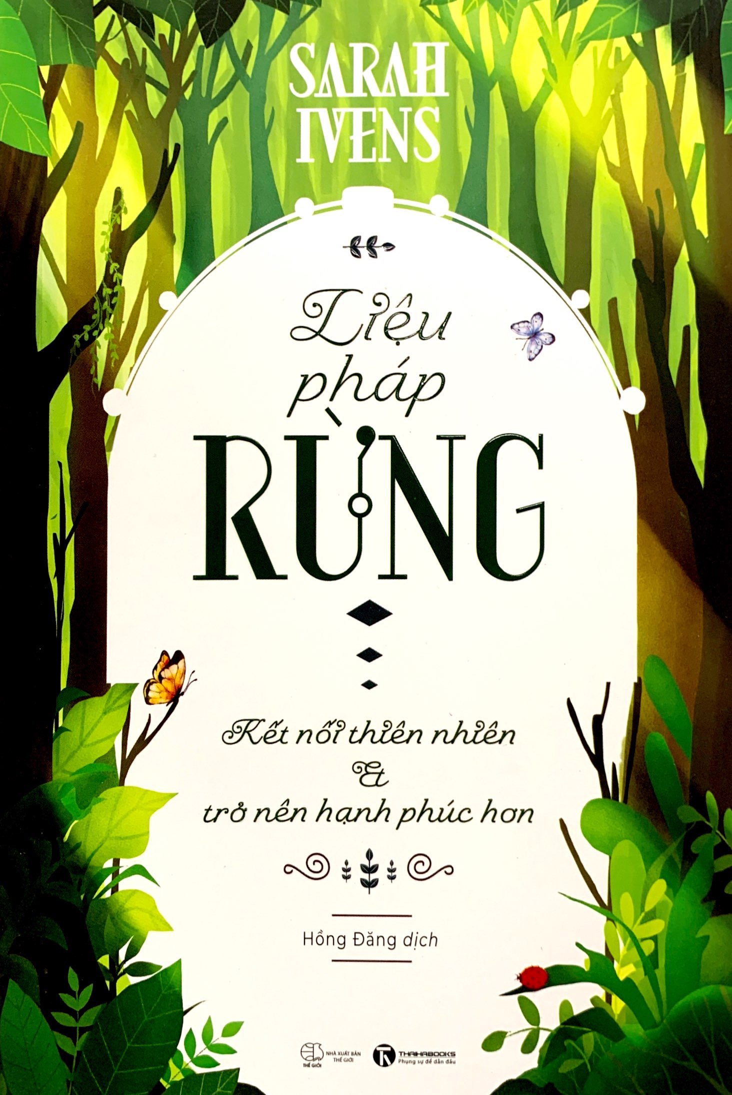 liệu pháp rừng - kết nối thiên nhiên và trở nên hạnh phúc hơn