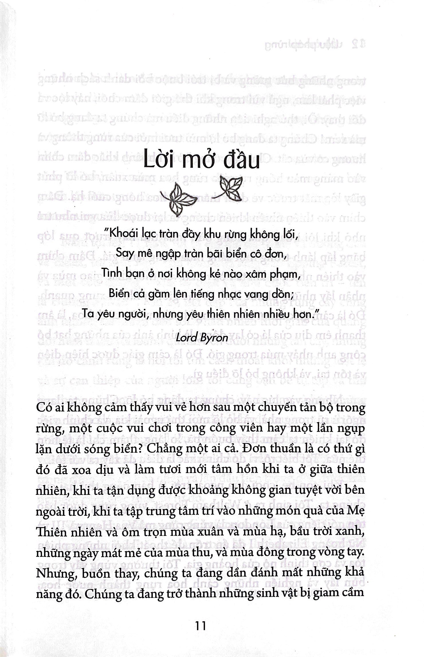 liệu pháp rừng - kết nối thiên nhiên và trở nên hạnh phúc hơn