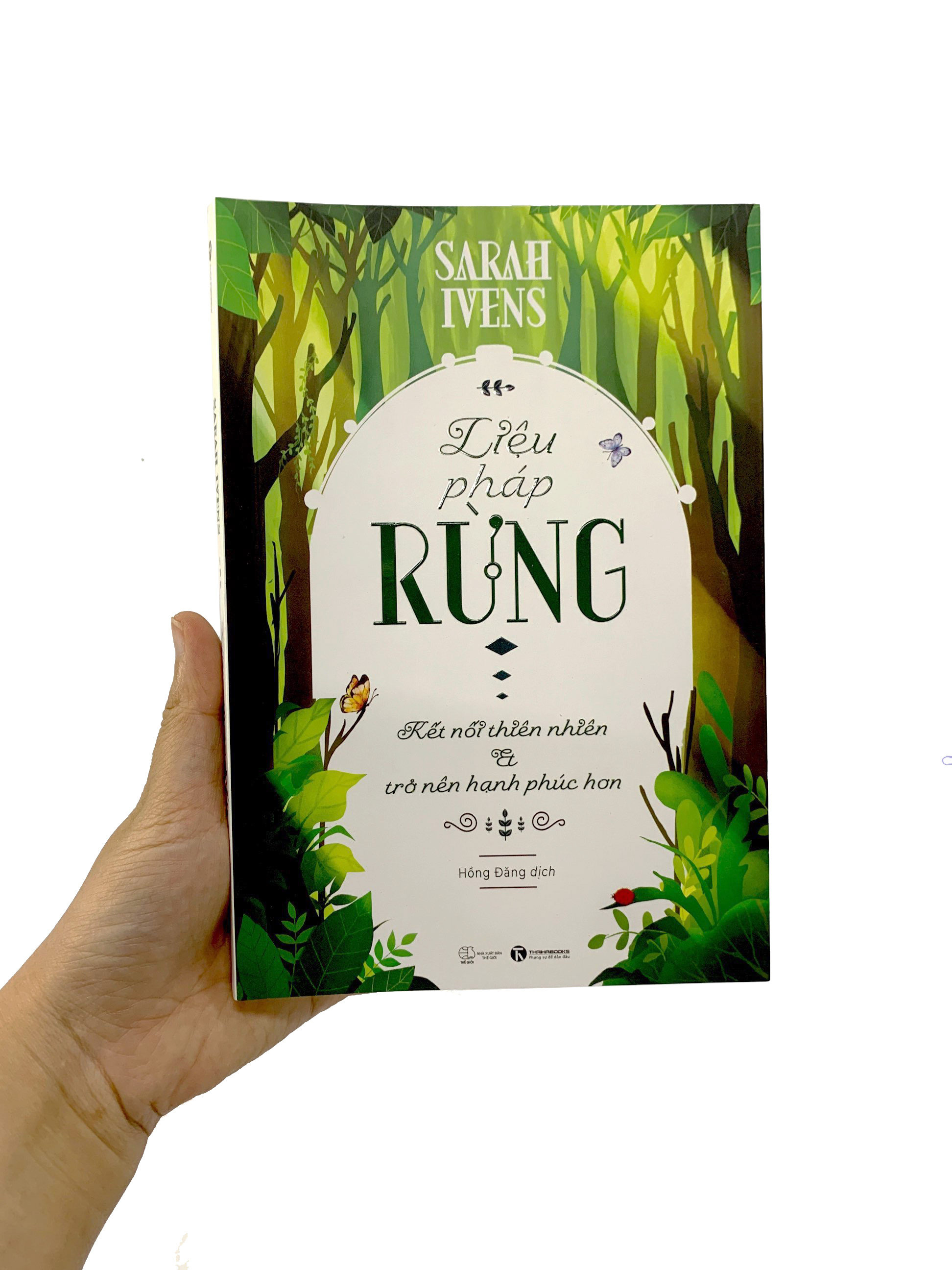 liệu pháp rừng - kết nối thiên nhiên và trở nên hạnh phúc hơn