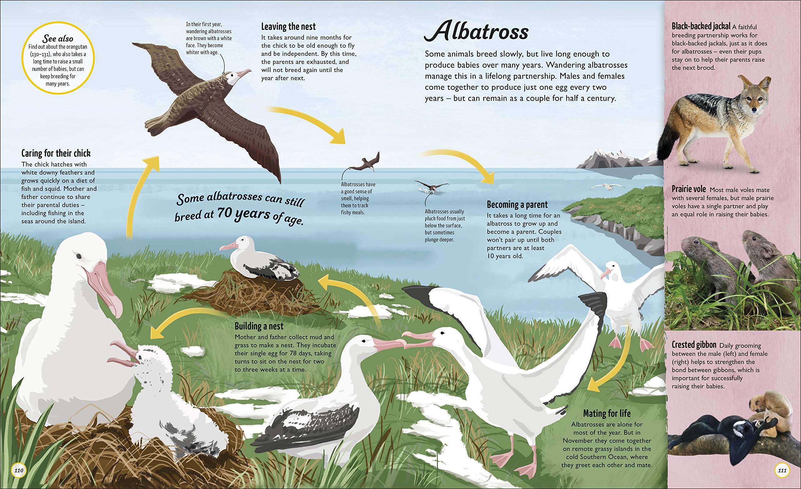life cycles: everything from start to finish