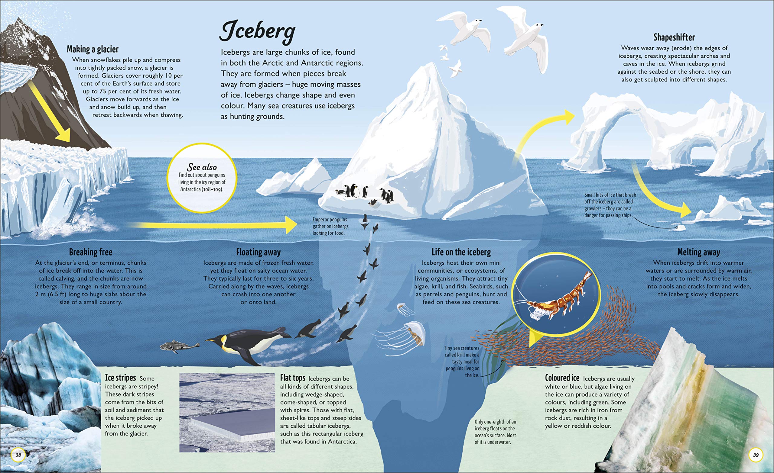 life cycles: everything from start to finish