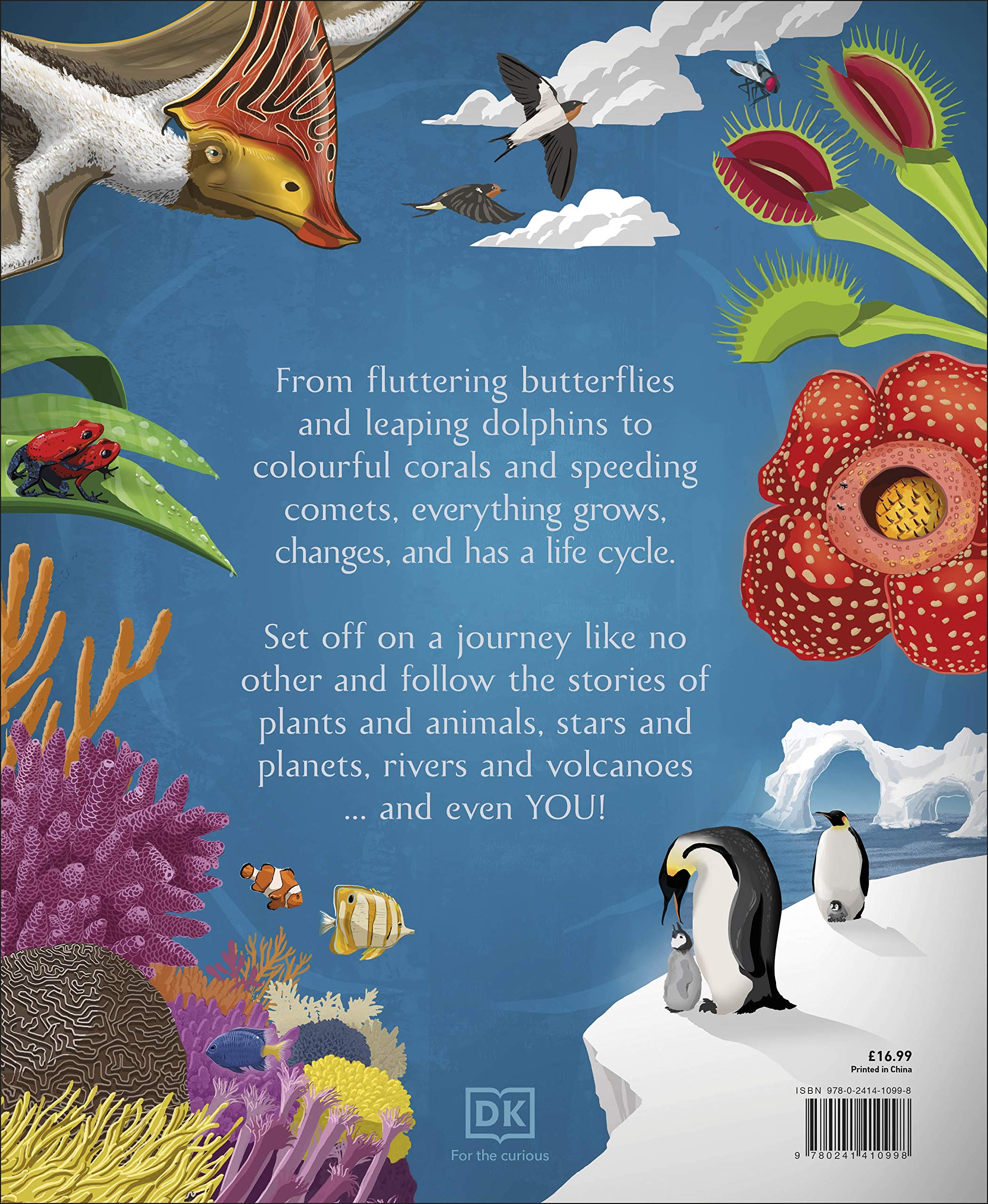 life cycles: everything from start to finish