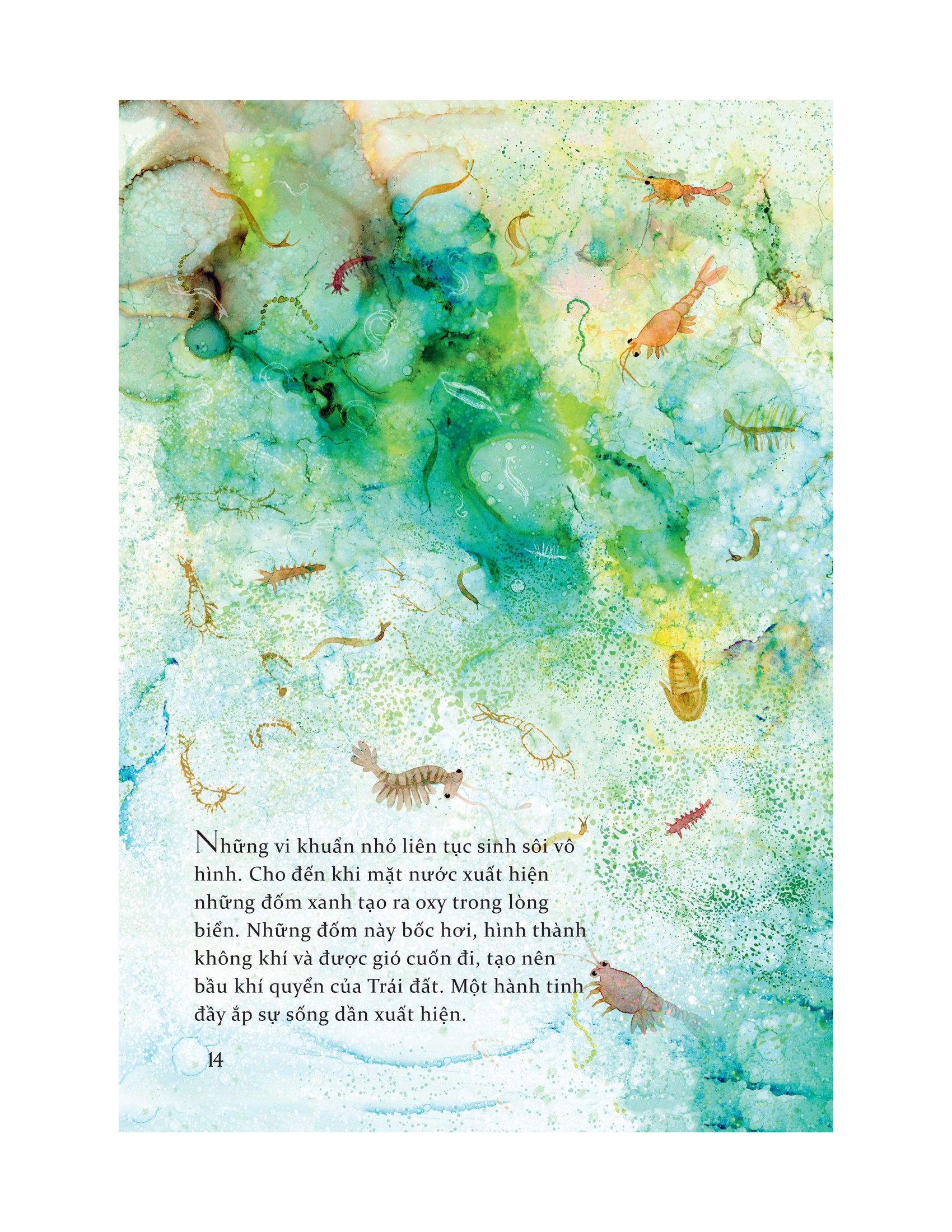 life - lược sử và nguồn gốc của trái đất