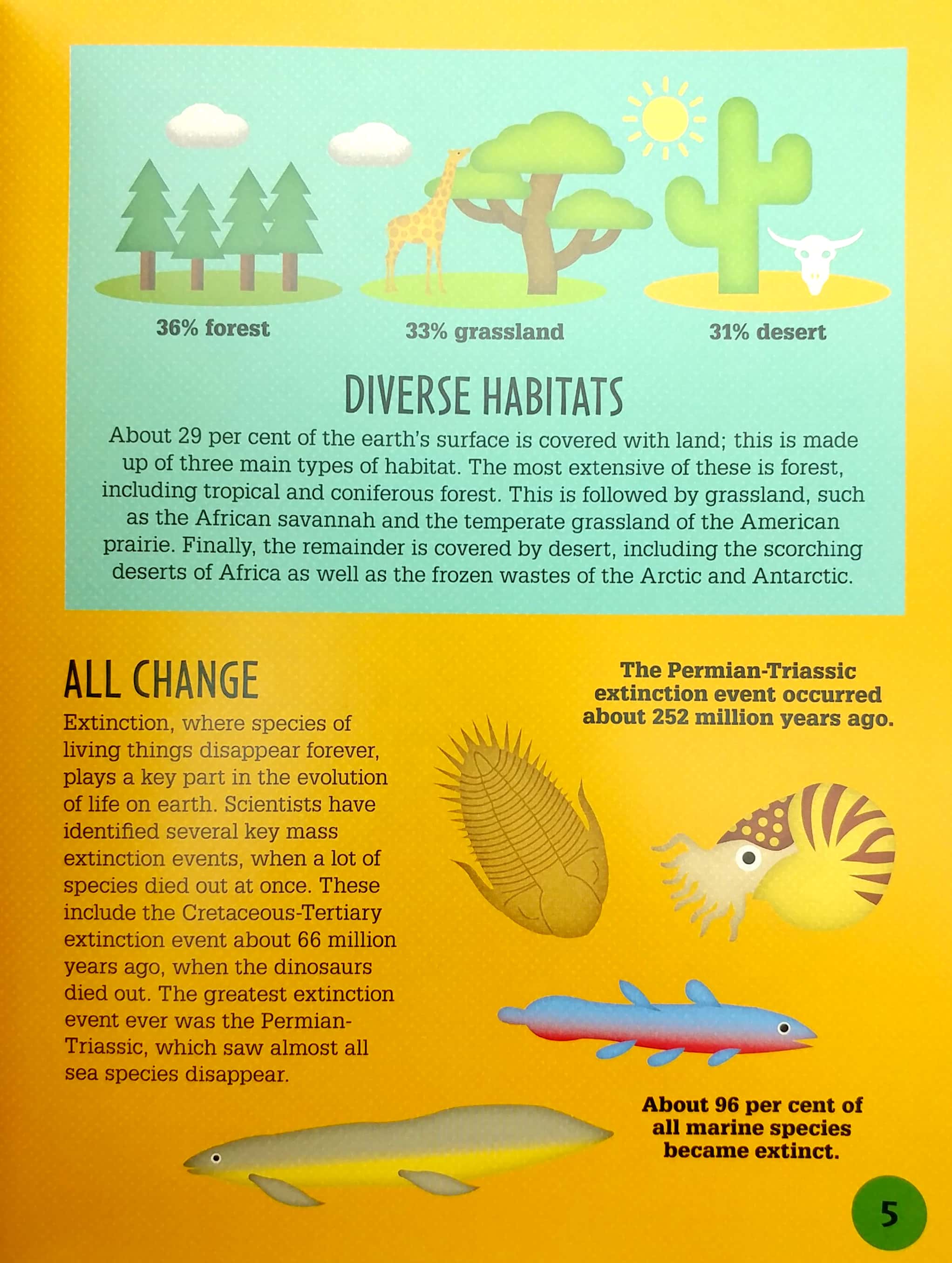 life on earth (infographics: how it works)