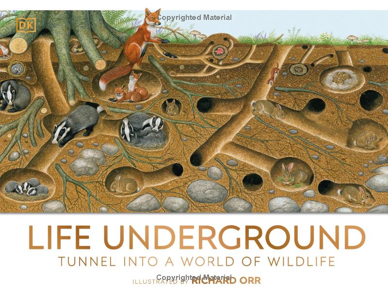 life underground - tunnel into a world of wildlife