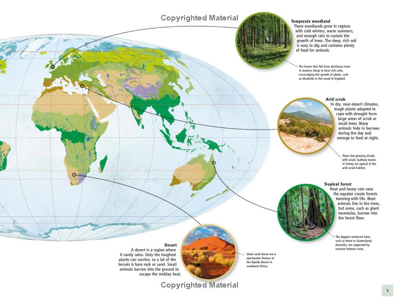 life underground - tunnel into a world of wildlife