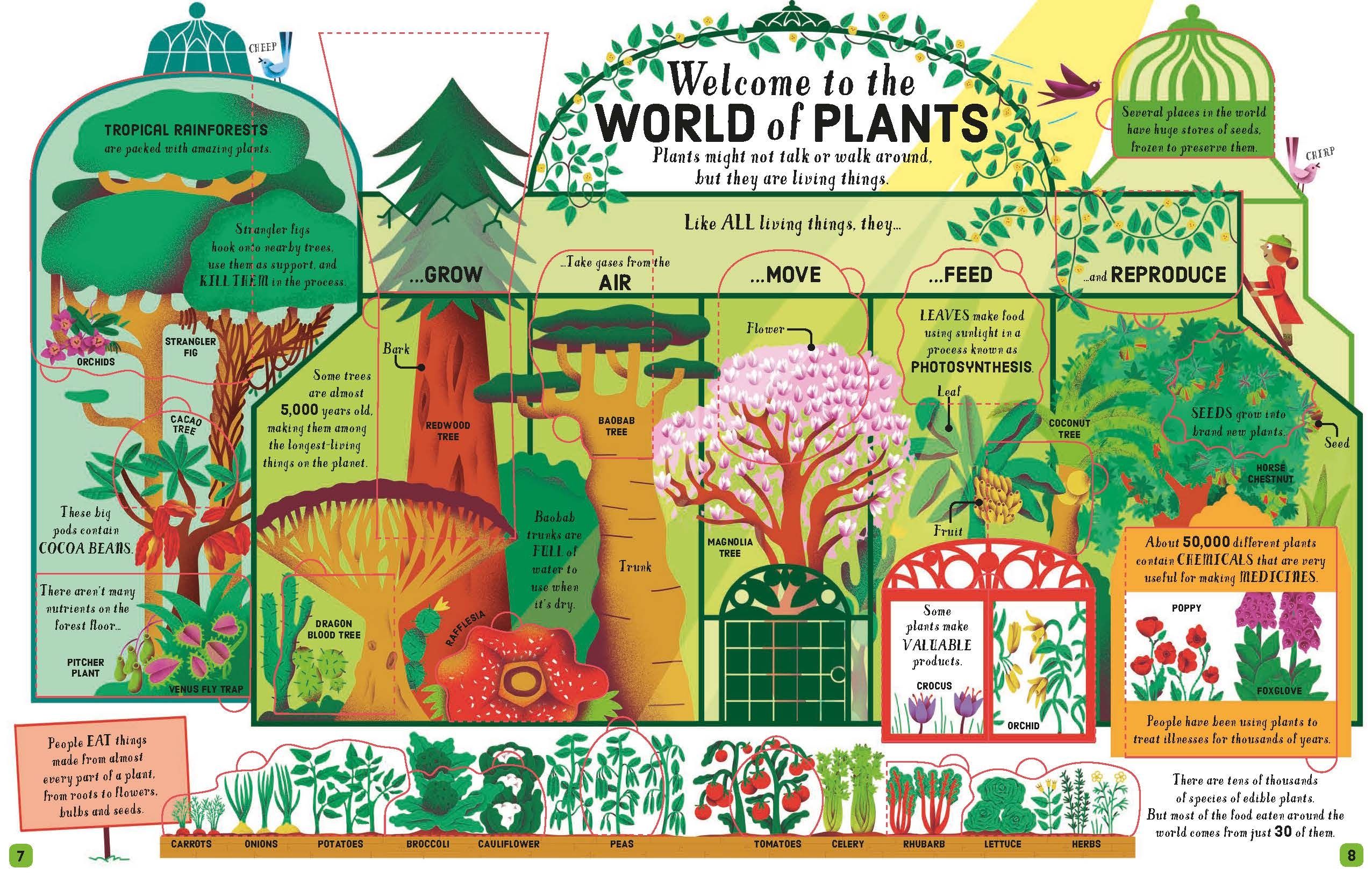 lift-the-flap biology